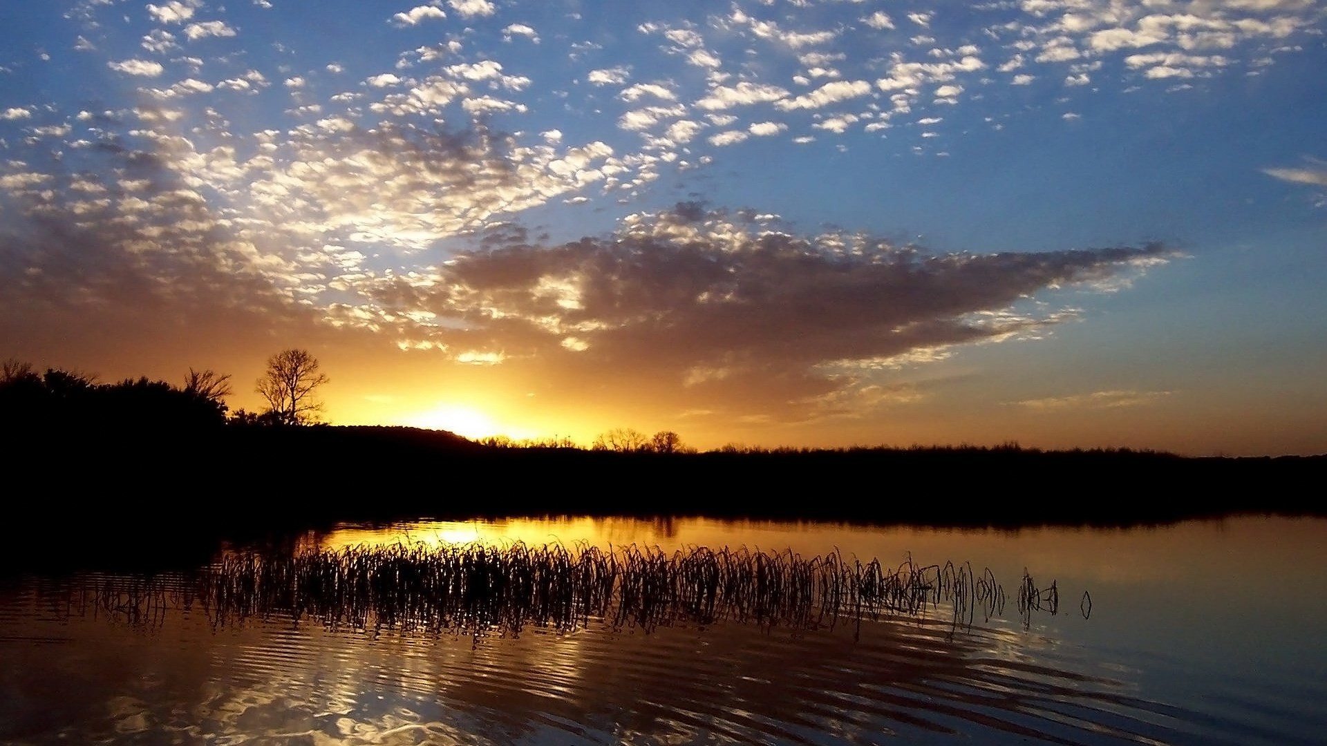 HD Wallpaper Widescreen 1920x1080 (69+ pictures)