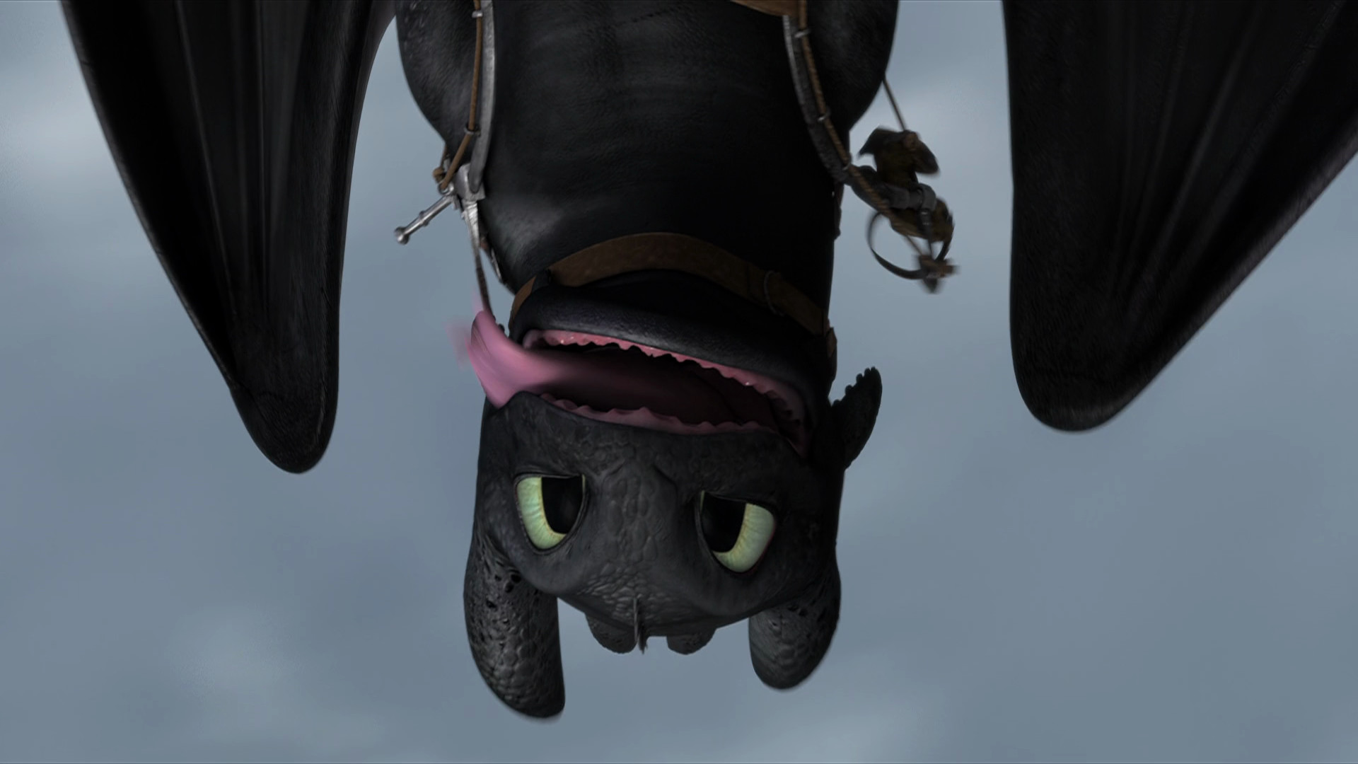 Toothless the Dragon Wallpaper (70+ pictures)