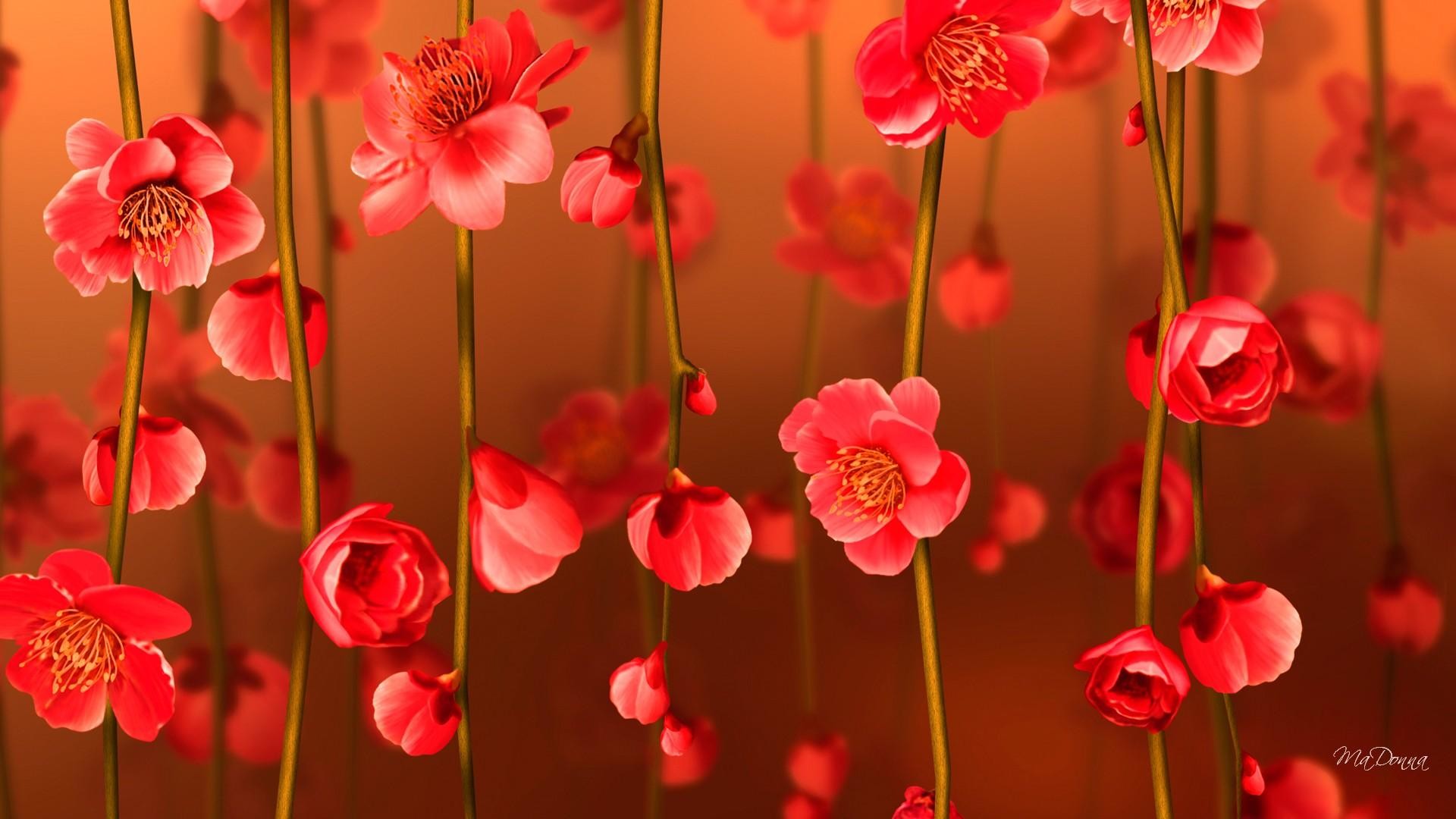 Bright Flower Wallpaper (71+ pictures)