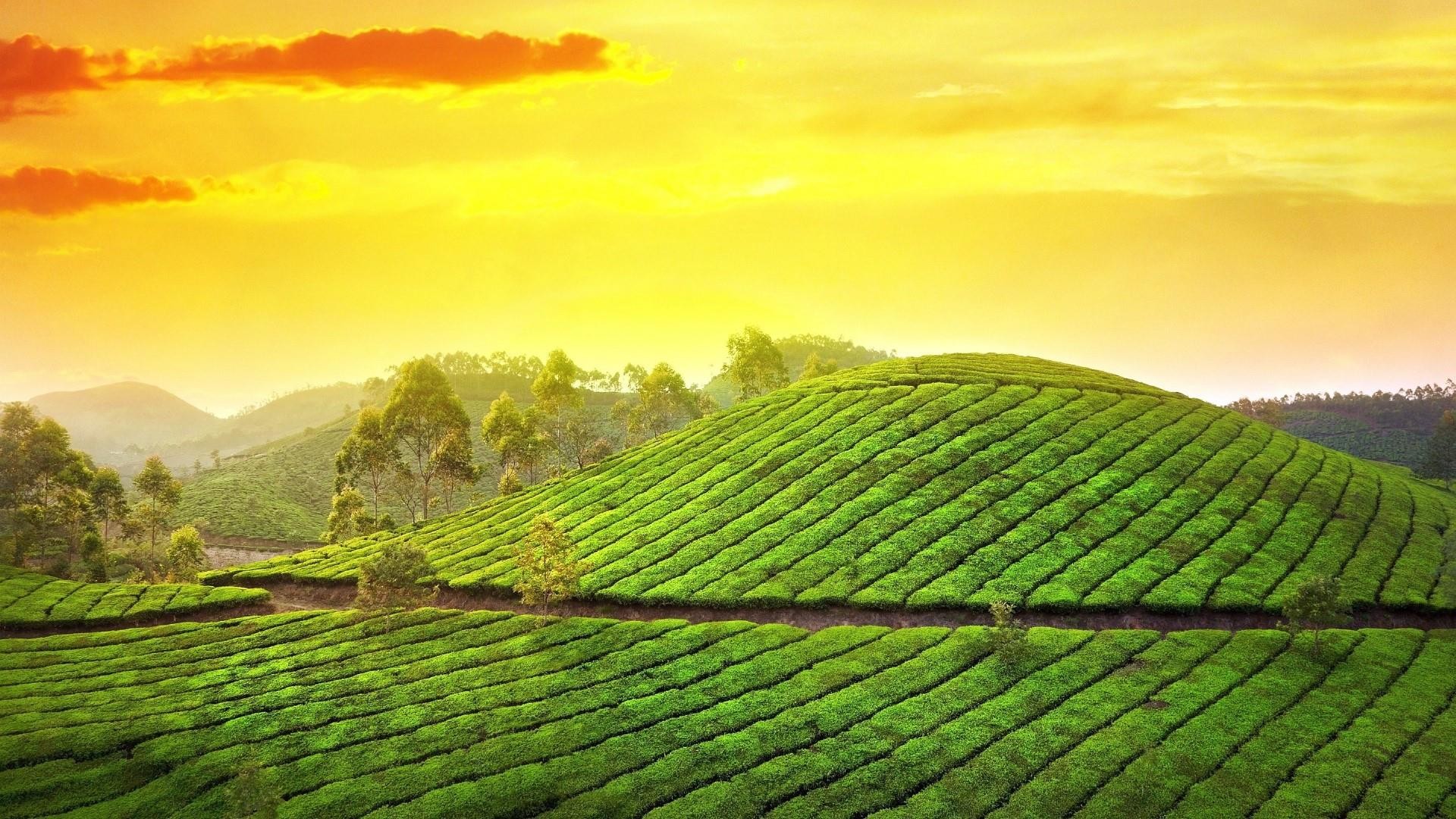 Kerala Wallpapers (50+ pictures)