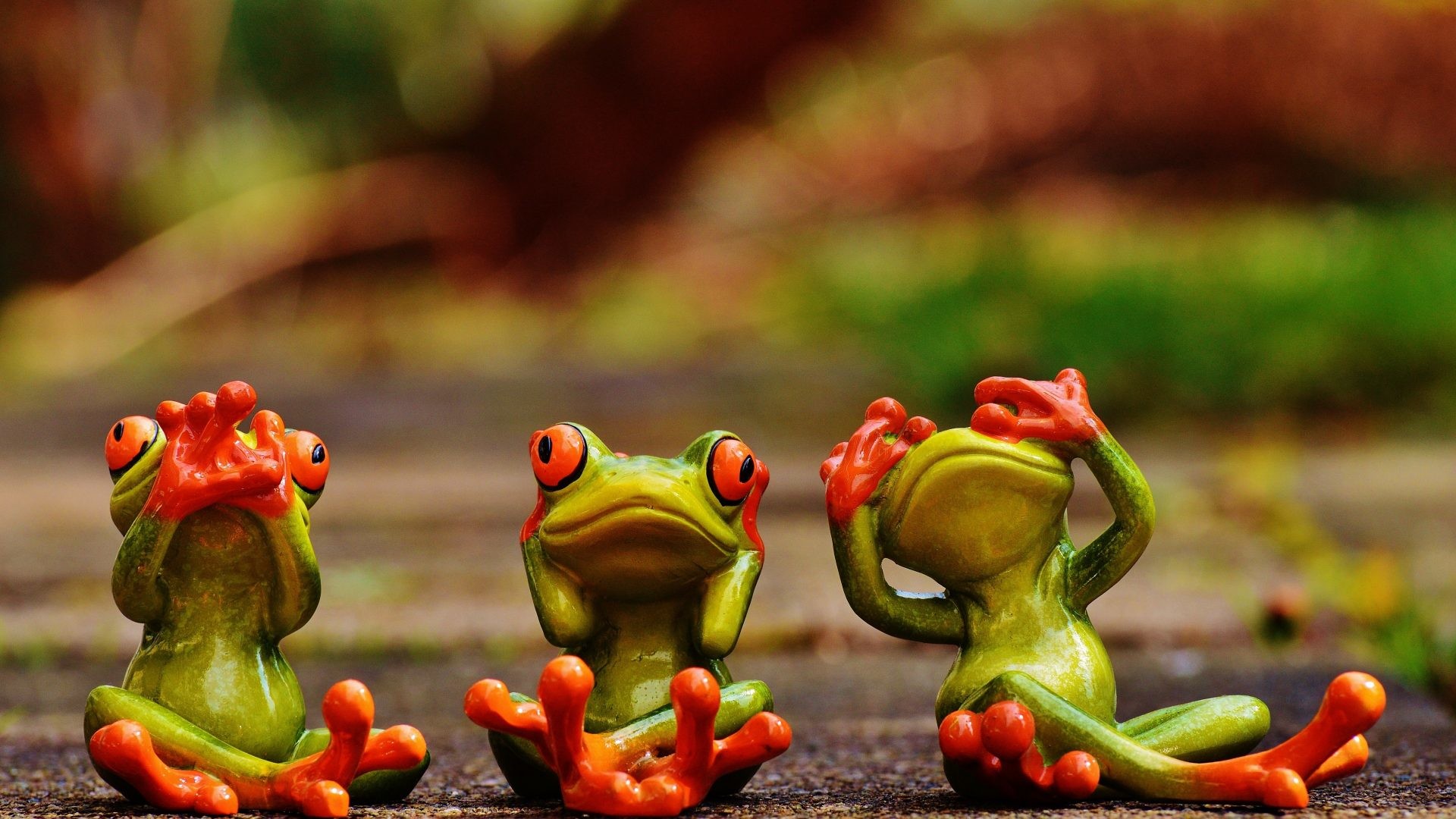 Cute Frog Backgrounds (52+ pictures)