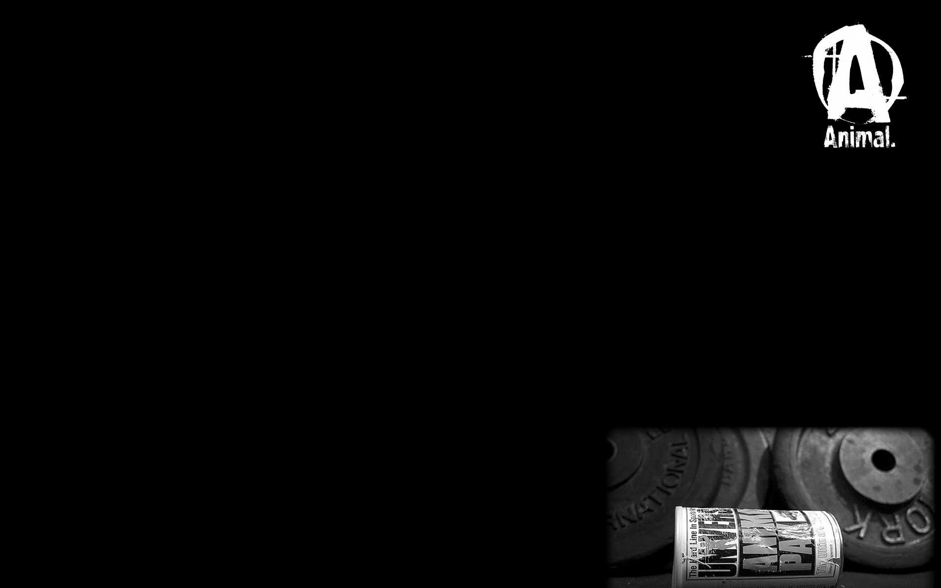 Animal Pak Wallpaper (60+ pictures)