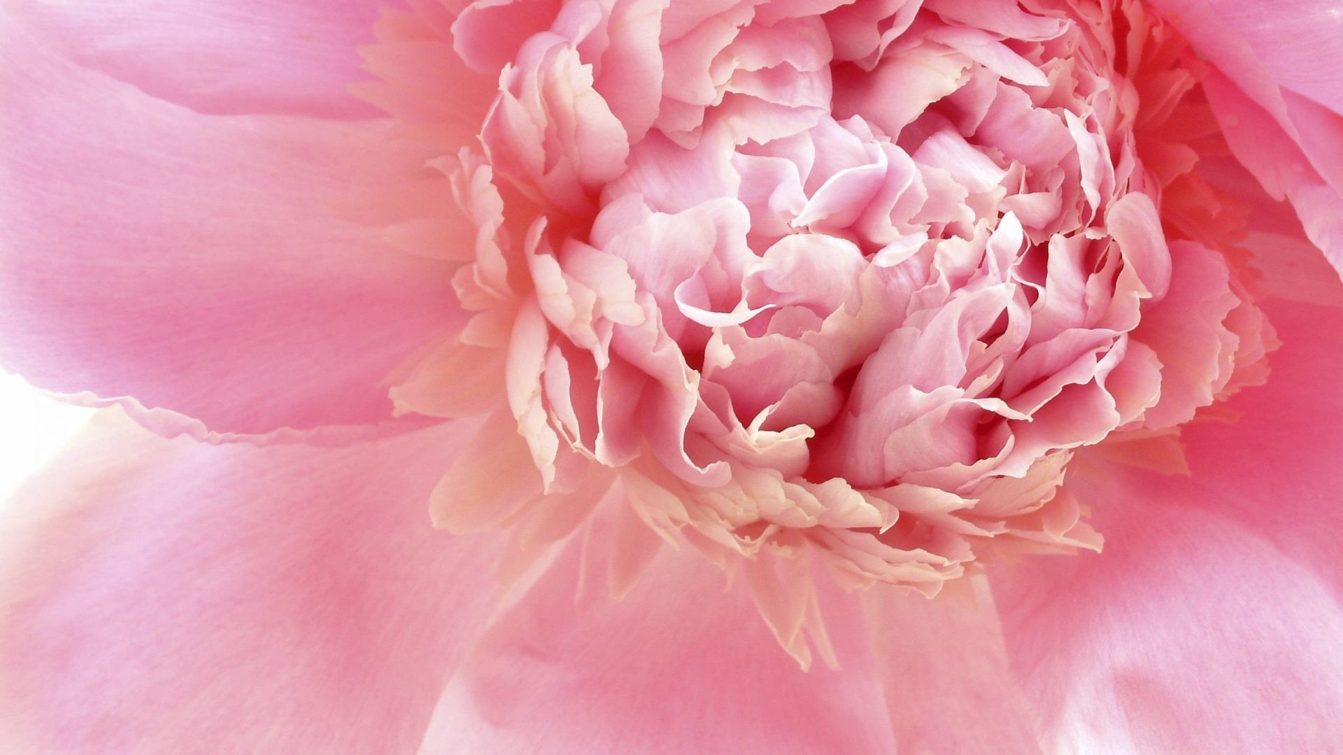 Feng Shui Wallpaper (60+ pictures)