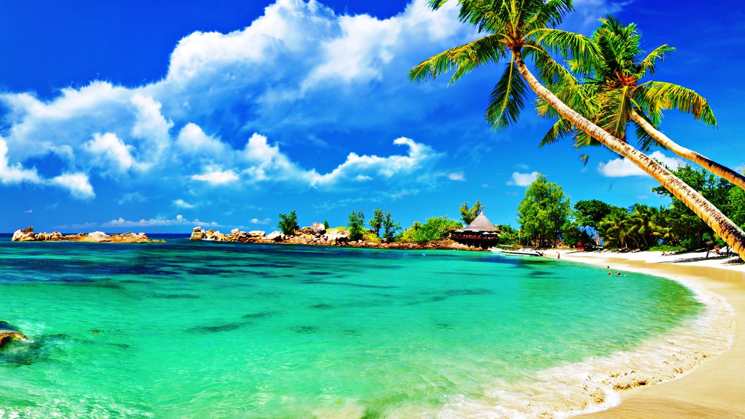 Florida Keys Wallpapers (53+ pictures)