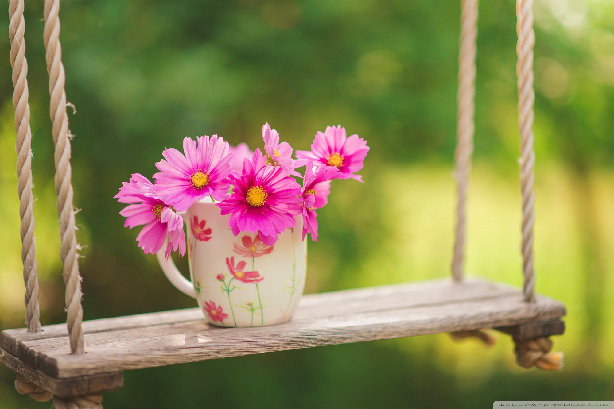 Full HD Flowers Wallpapers (68+ pictures)