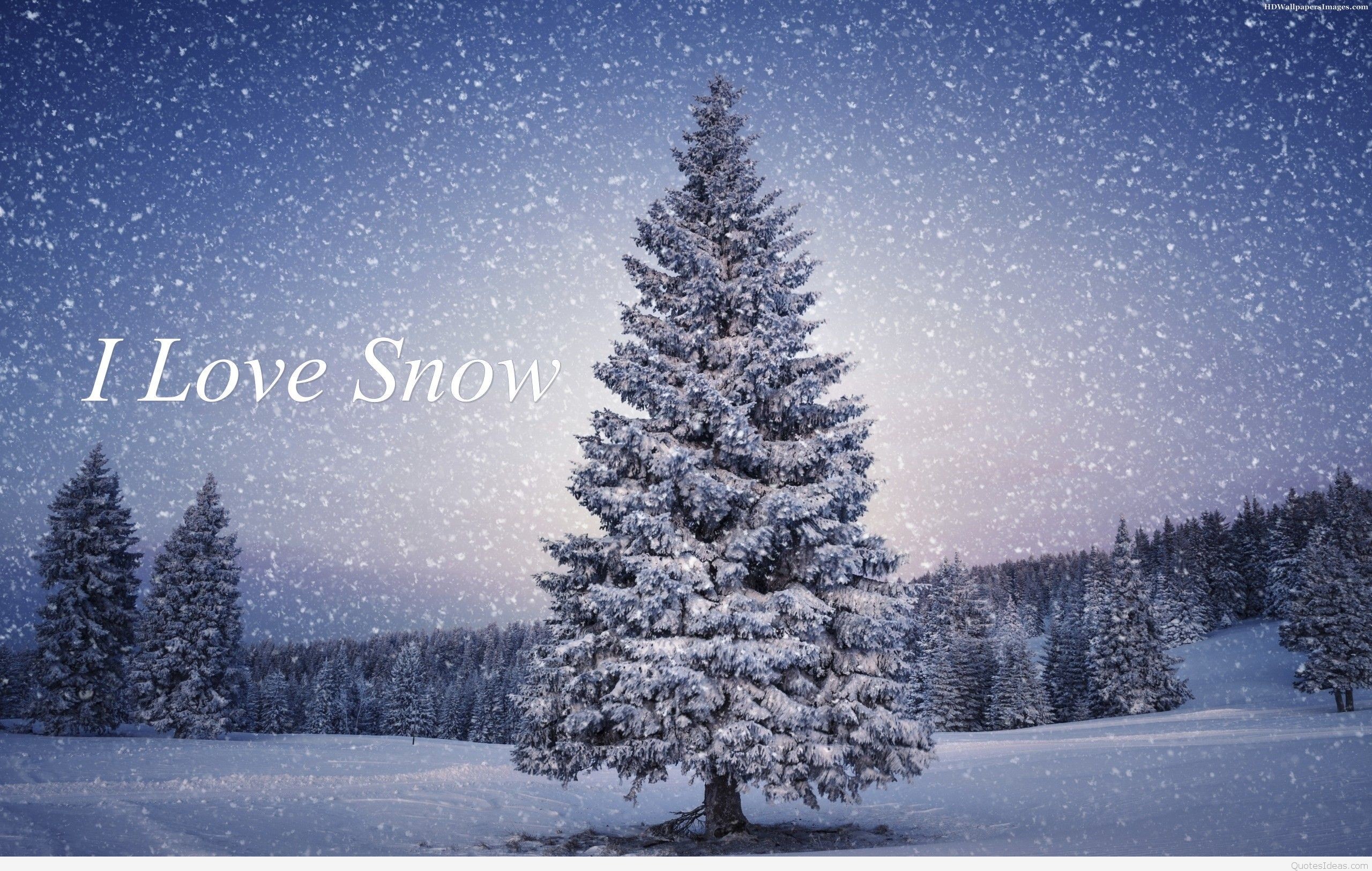 Winter Love Wallpaper (69+ pictures)