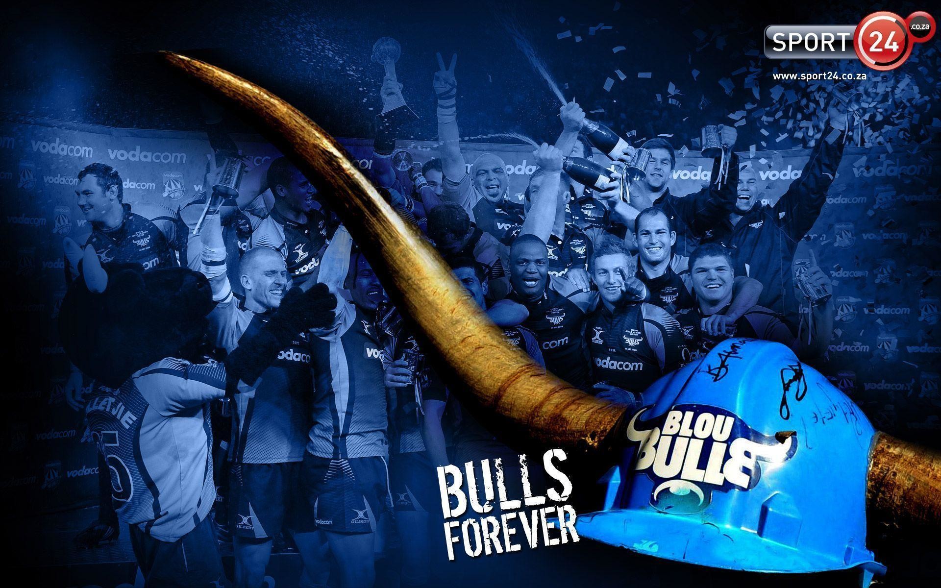 Blue Bulls Wallpapers (55+ pictures)