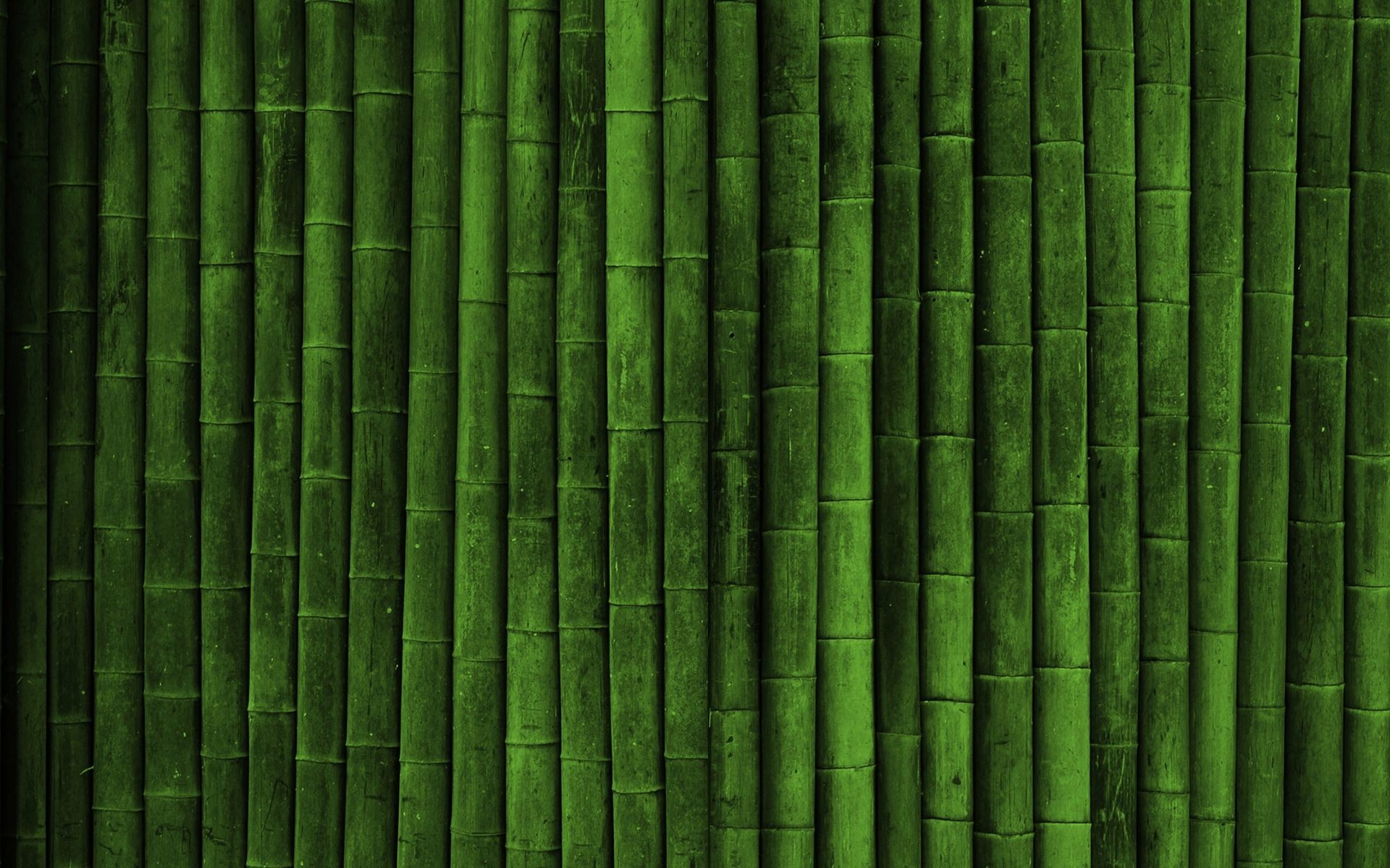 Green Bamboo Wallpaper (63+ pictures)