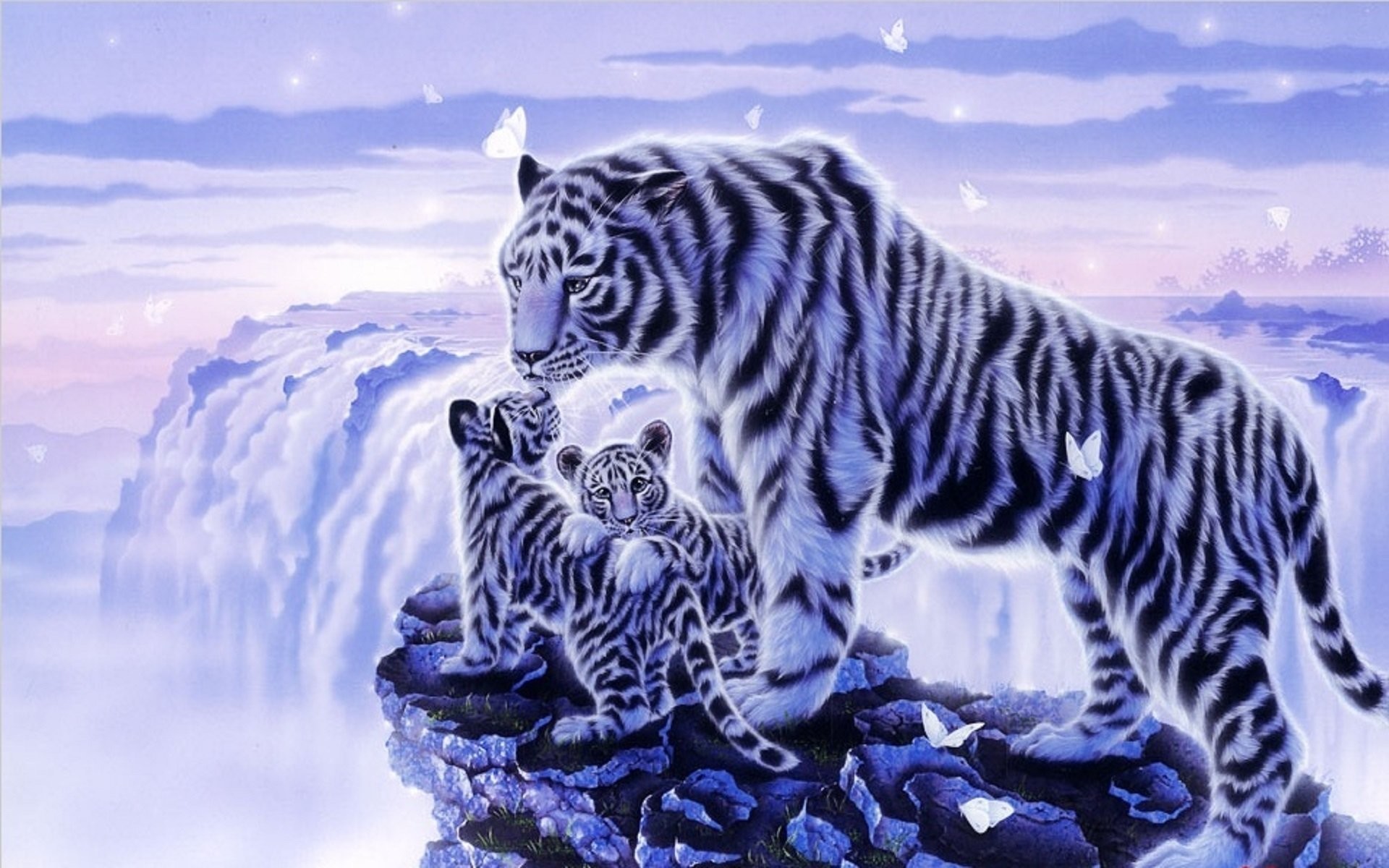 Baby White Tiger Wallpaper (57+ pictures)