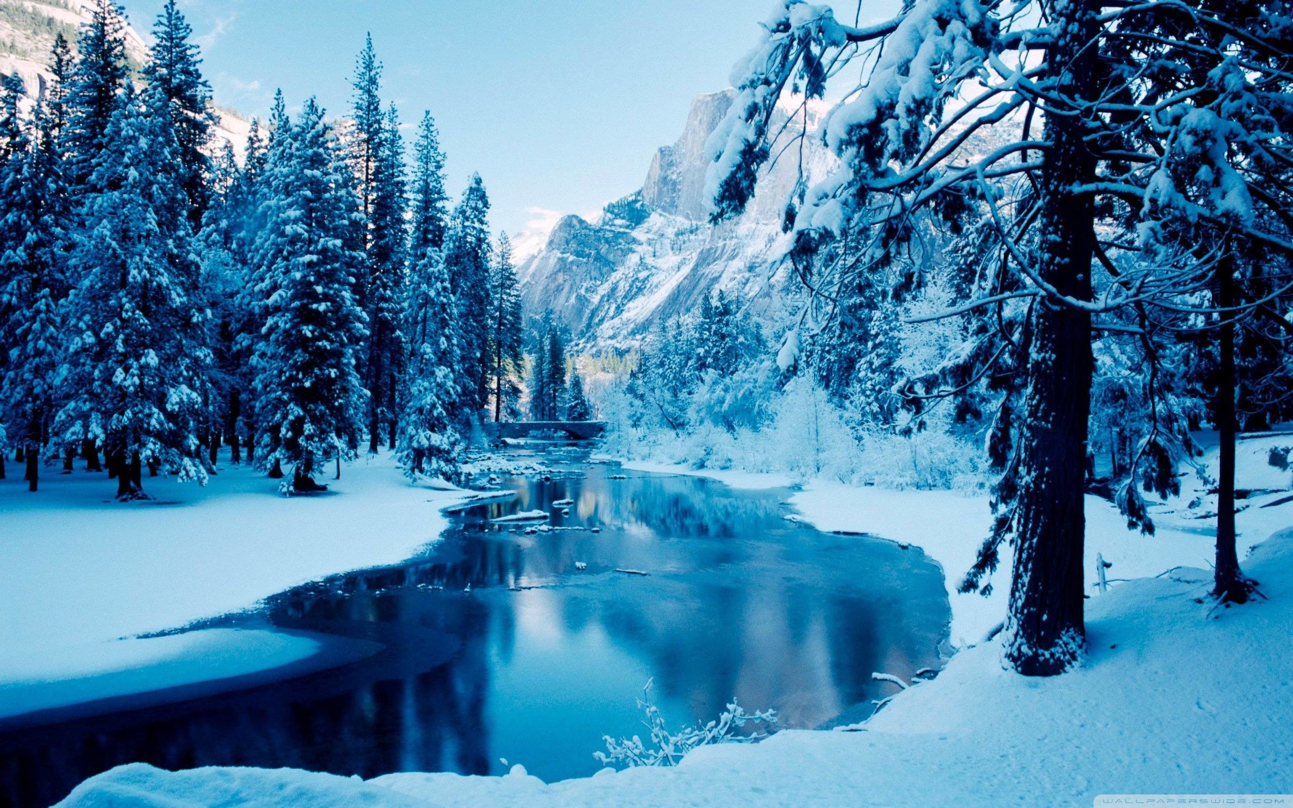 Winter Landscape Wallpaper (80+ pictures) - WallpaperSet