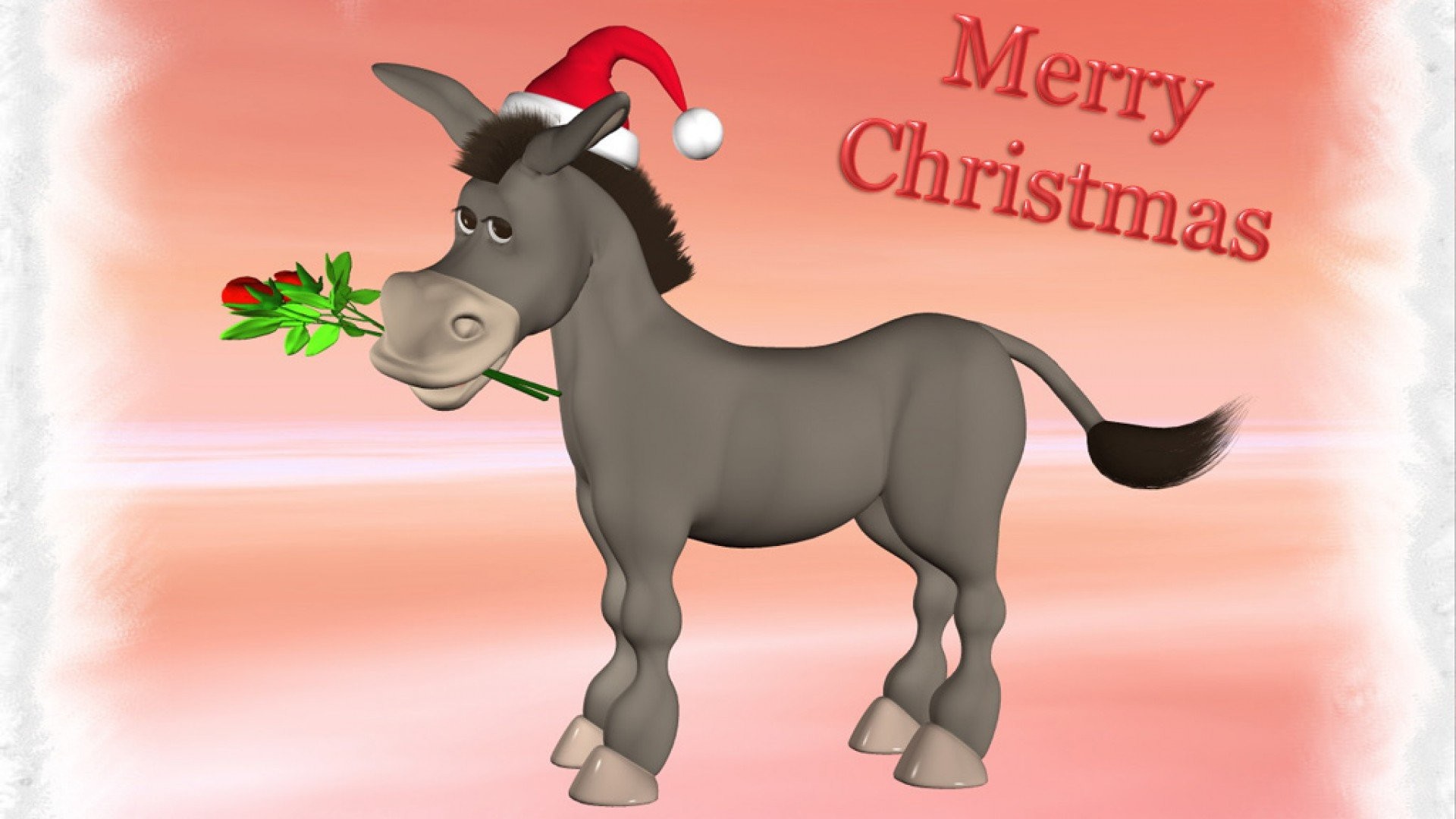 Donkey Wallpaper (55+ pictures)