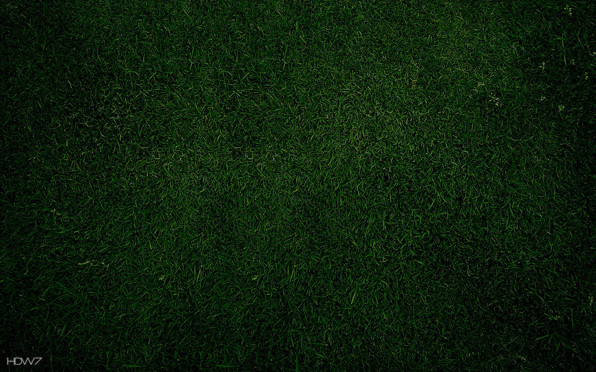 Dark Green Wallpaper (78+ pictures)