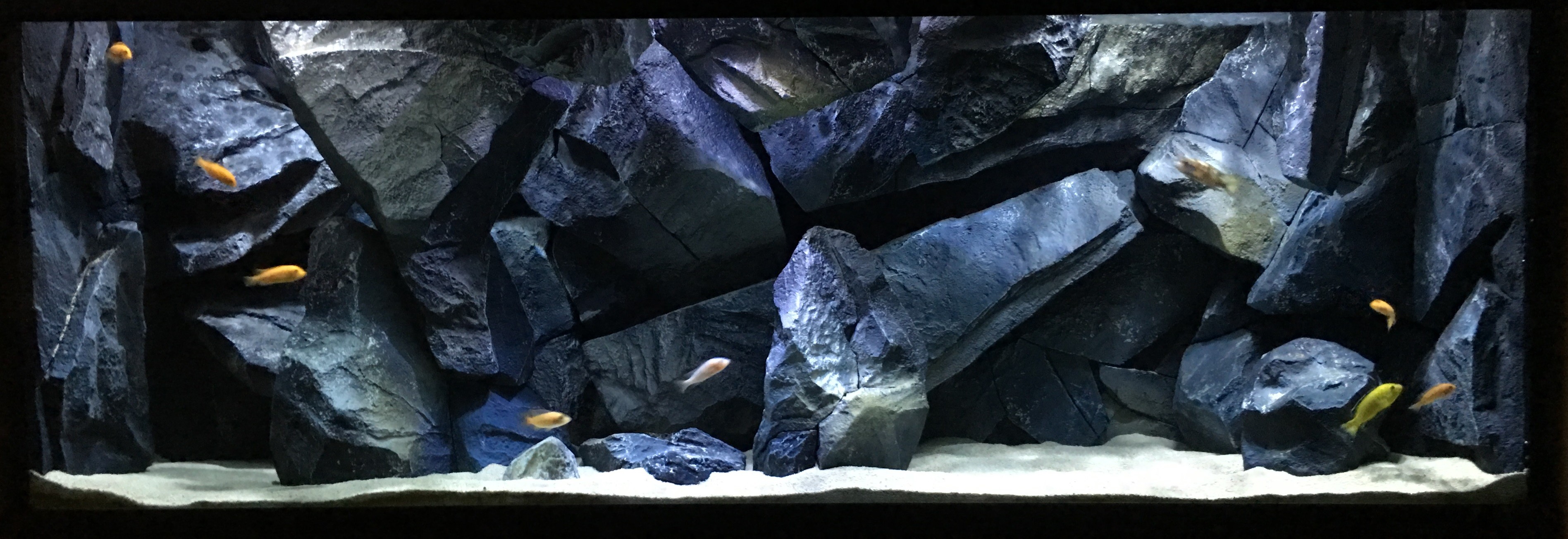 Universal Rocks Rocky 3d Aquarium Background Aquarium Views