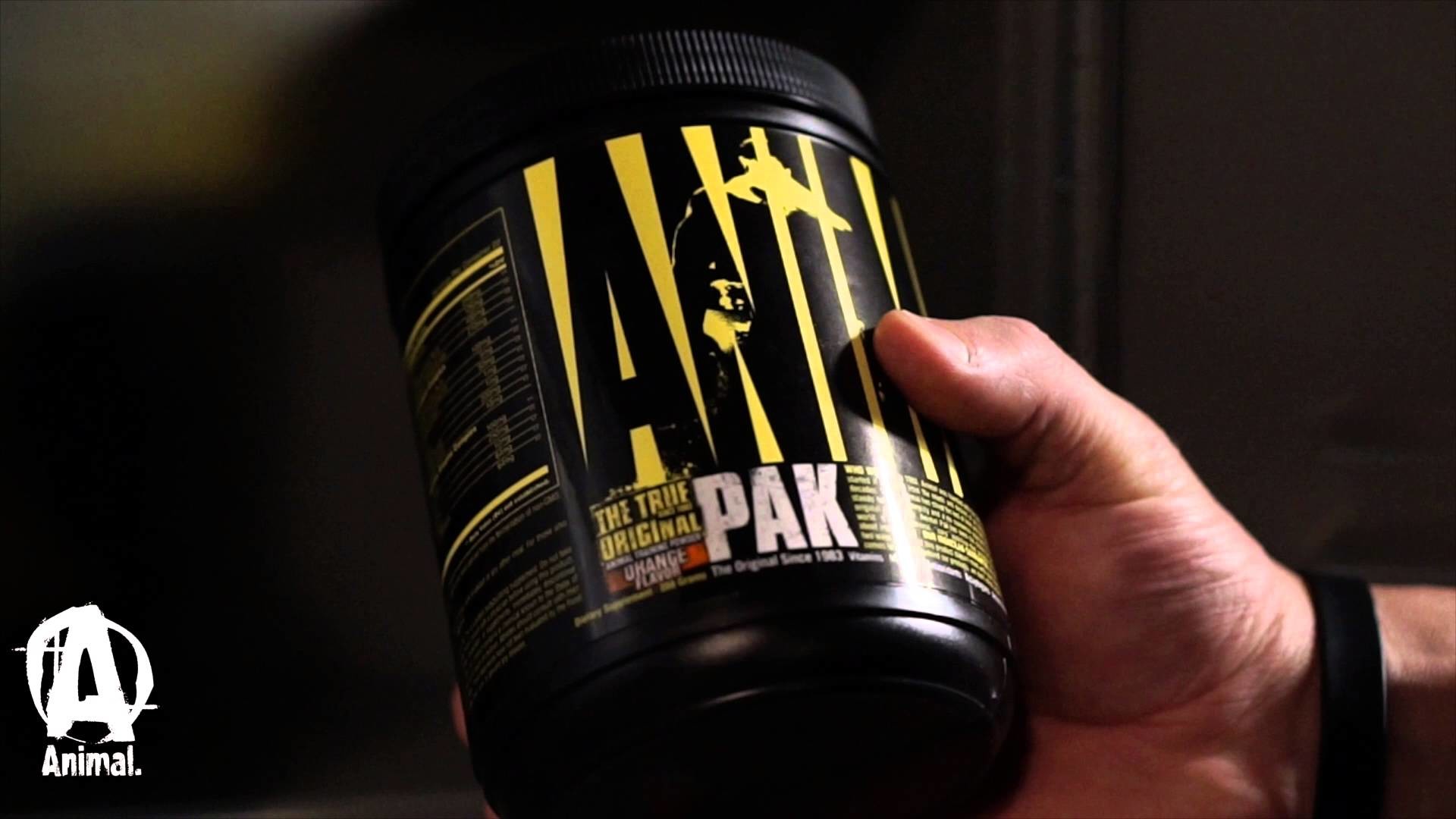 Animal Pak Wallpaper (60+ pictures)