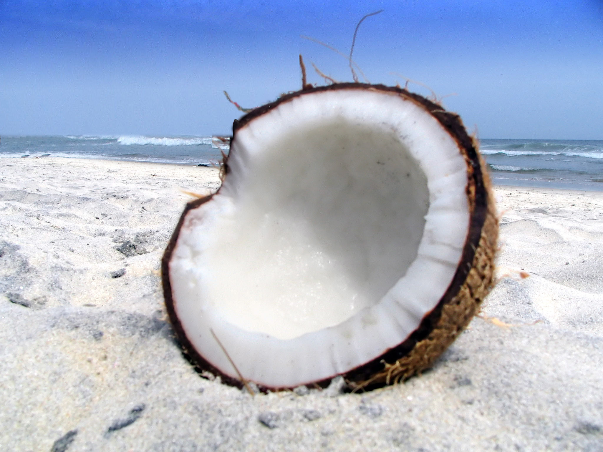 Coconut Wallpapers (59+ pictures)