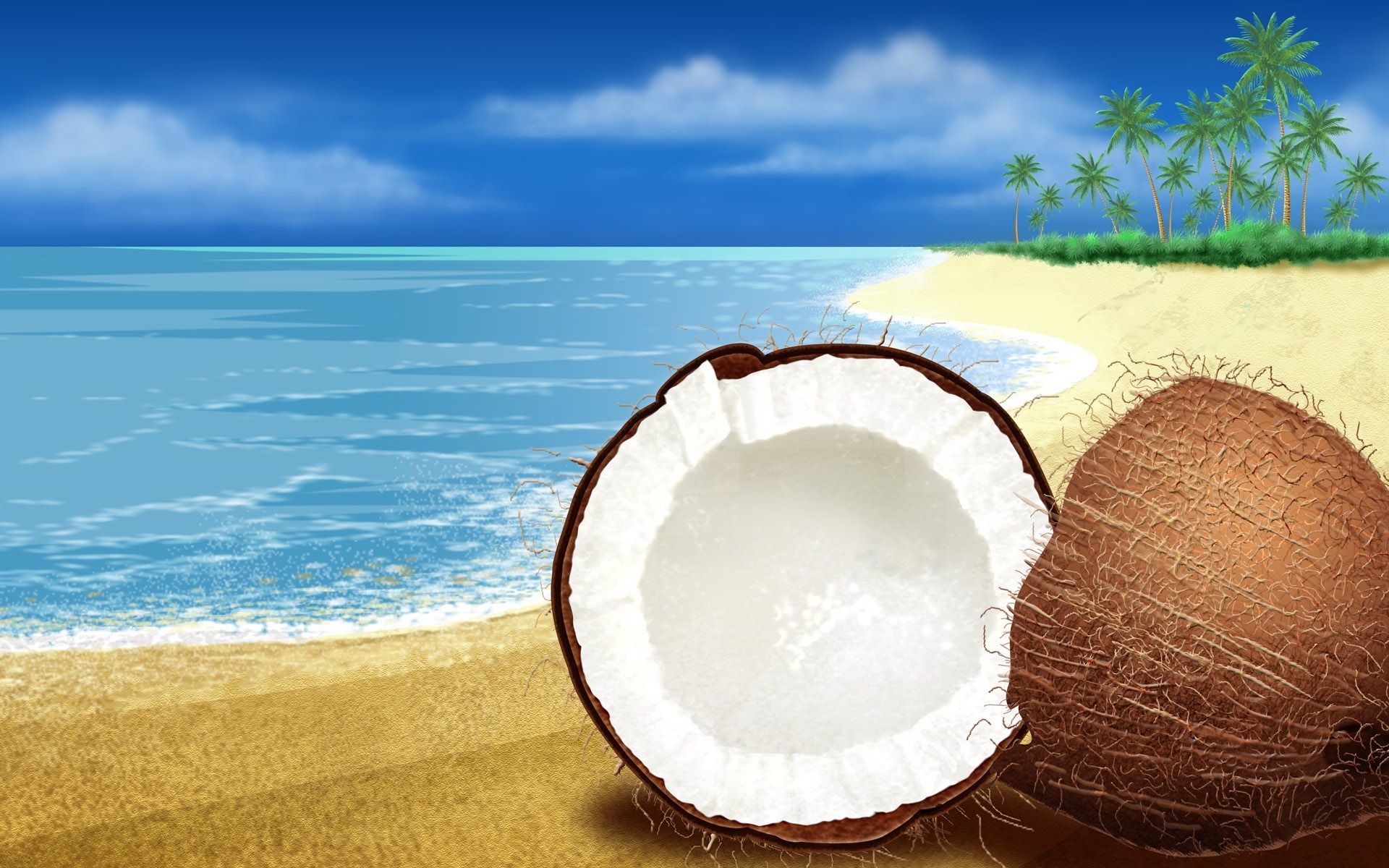 Coconut Wallpapers (59+ pictures)