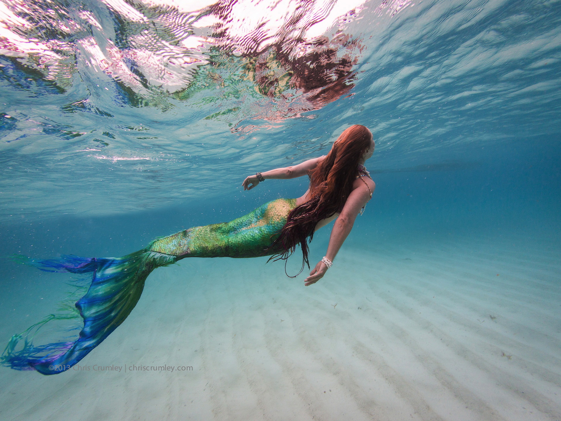 Real Mermaid Wallpaper (65+ pictures)