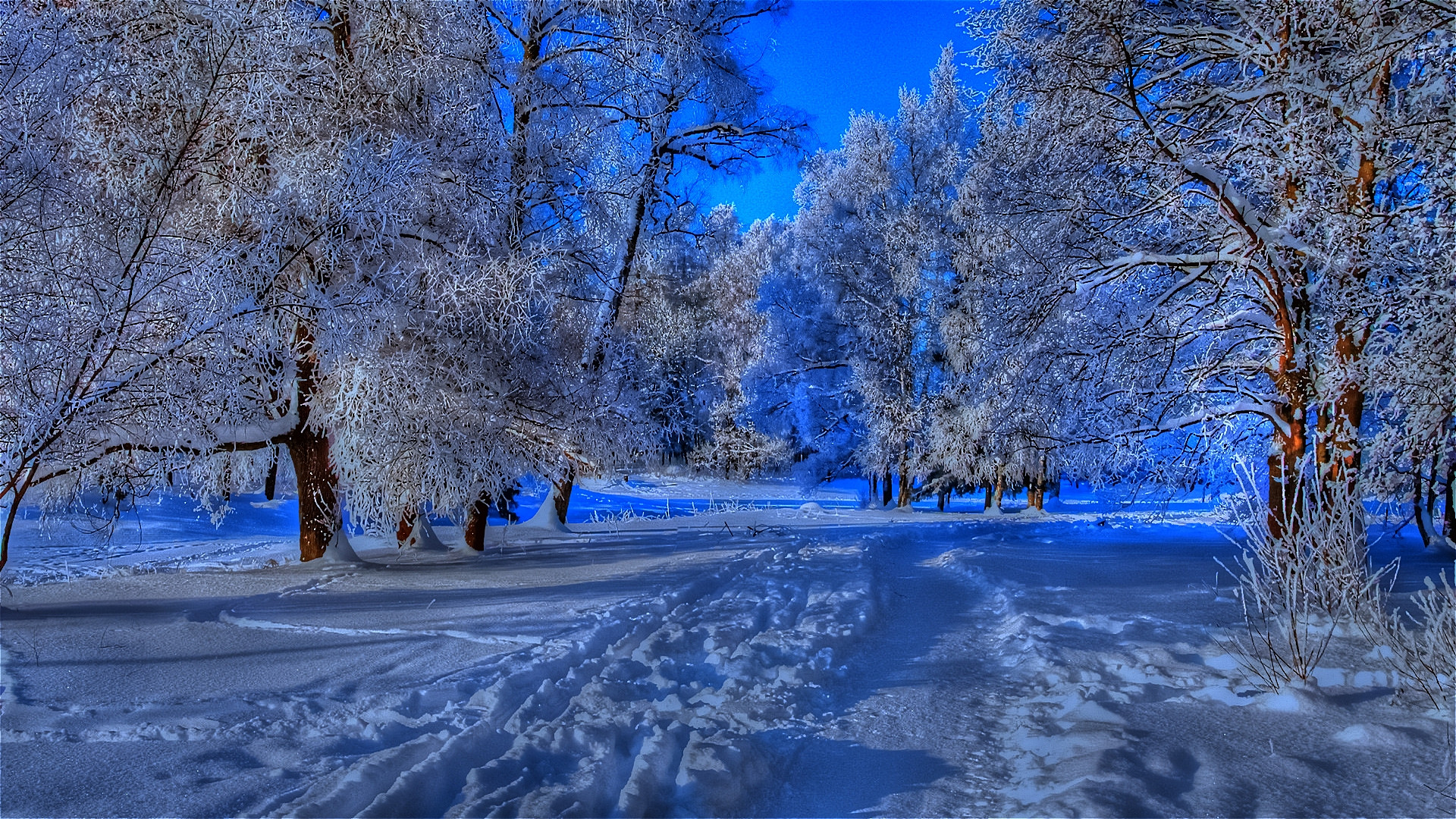 Nature Winter Wallpapers (67+ pictures) - WallpaperSet