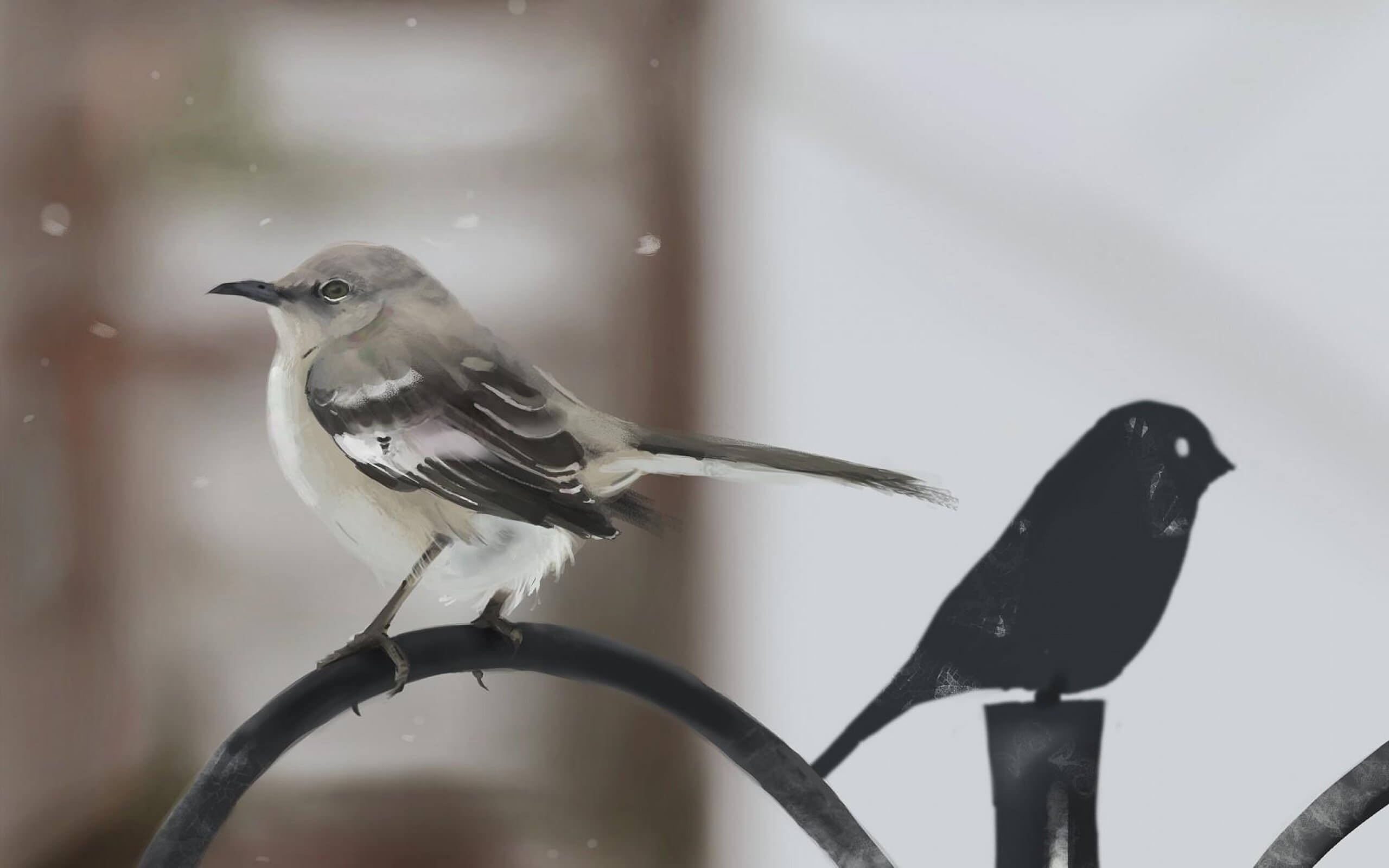 Mockingbird Wallpaper (62+ pictures)