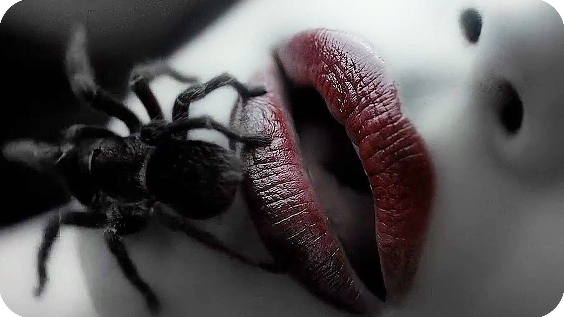 American Horror Story Wallpapers (68+ pictures)