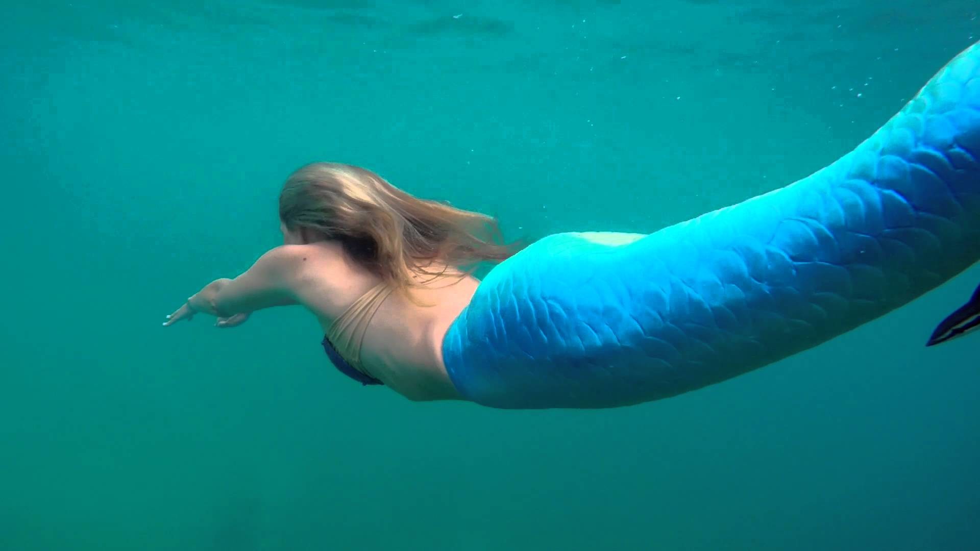 Real Mermaid Wallpaper (65+ pictures)