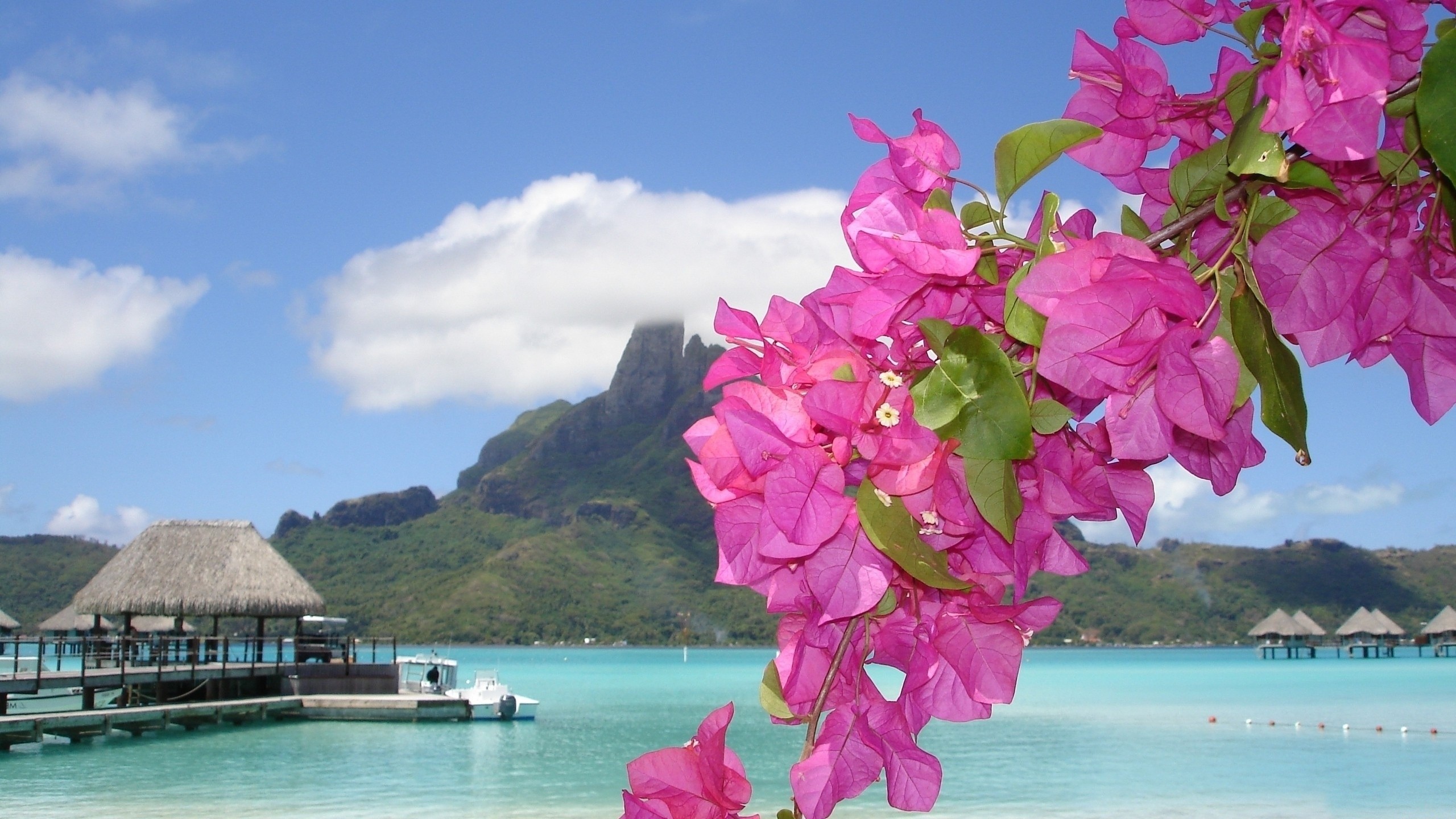 Paradise Beach Wallpaper (69+ pictures)