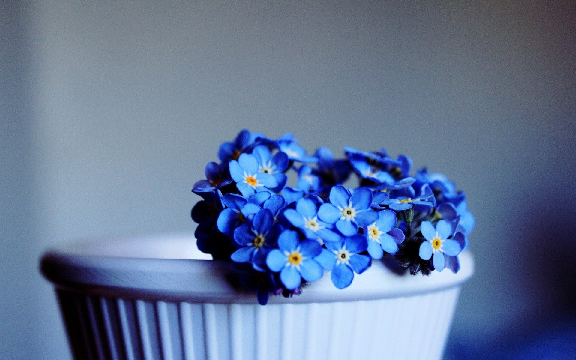 Blue Flower Wallpaper (60+ pictures)
