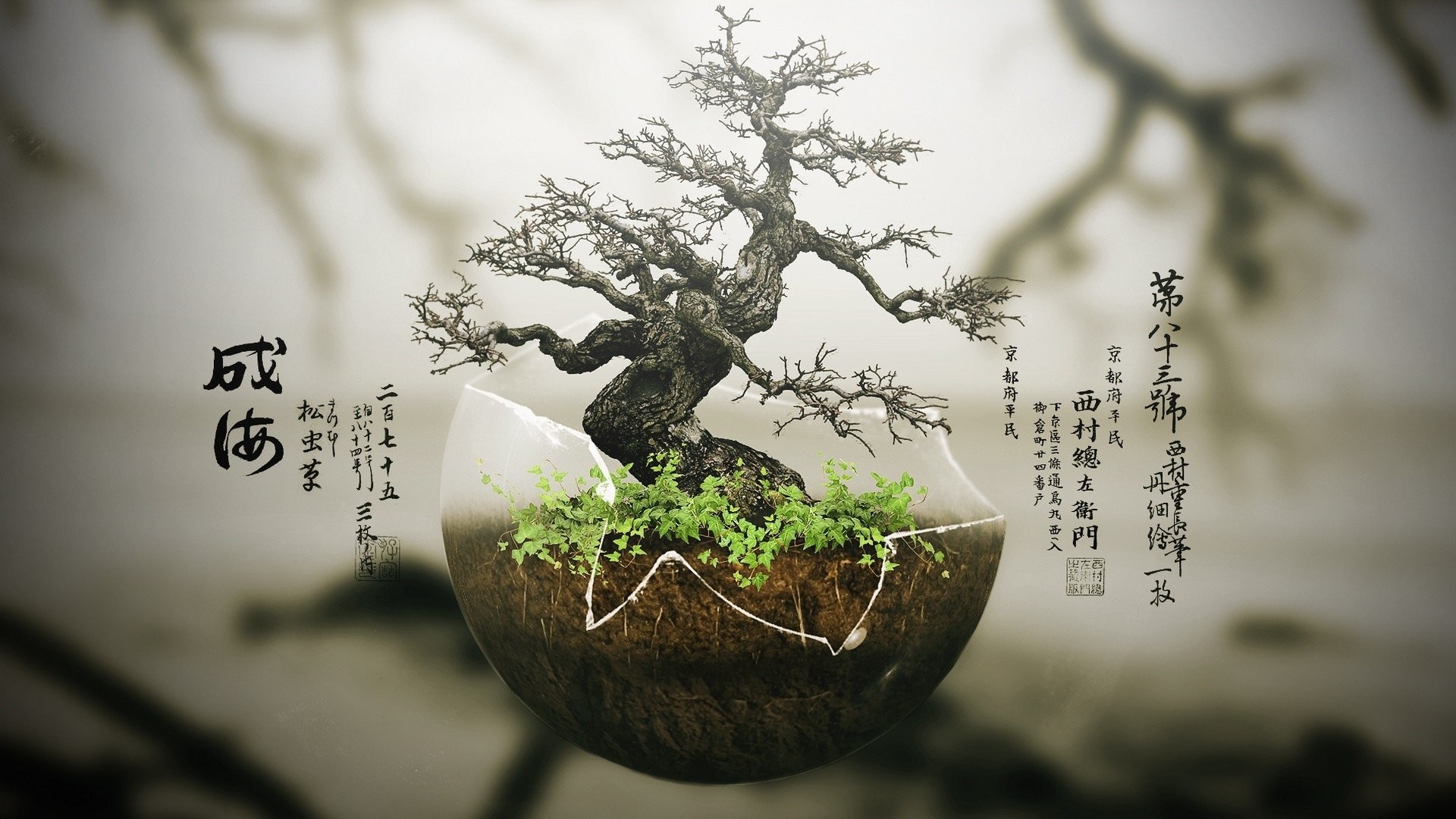 Bonsai Tree Wallpaper (68+ pictures)