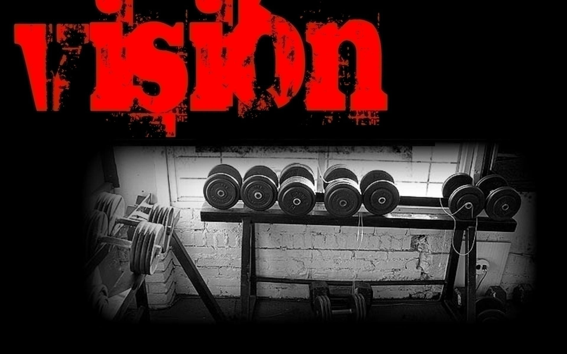 Animal Pak Wallpaper (60+ pictures)