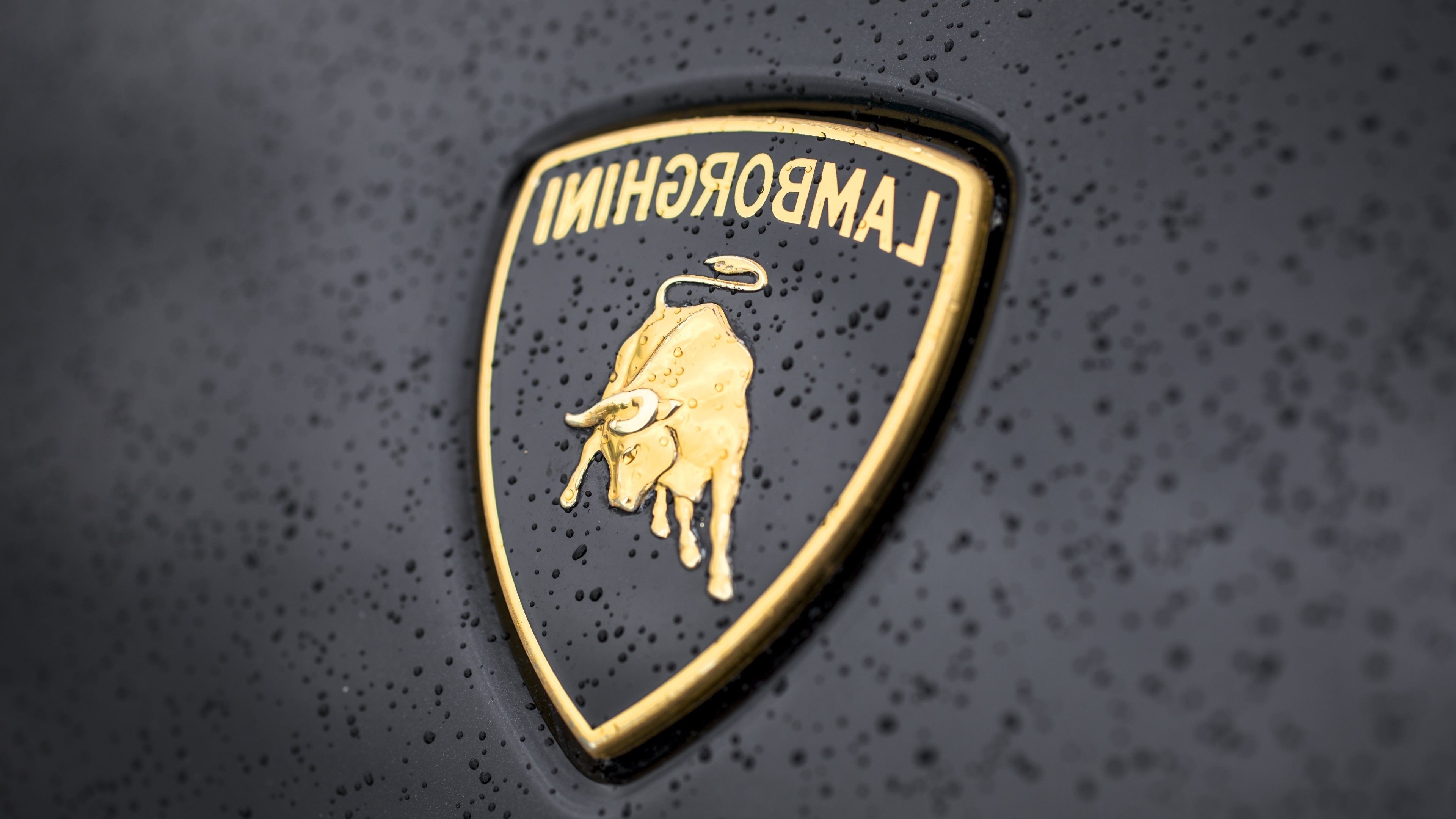 Logo Wallpaper (77+ pictures)