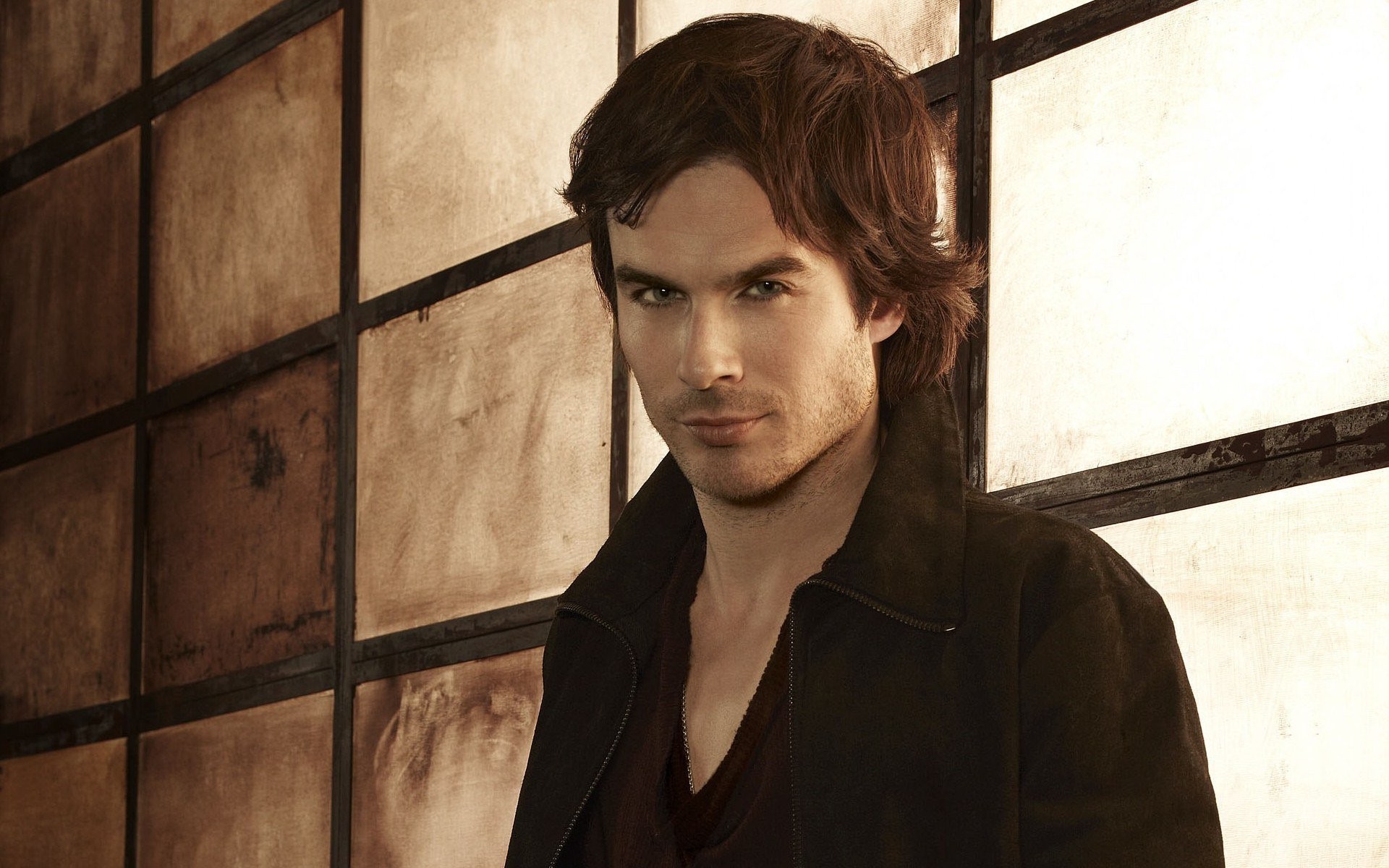 Damon Salvatore Wallpapers (73+ pictures)
