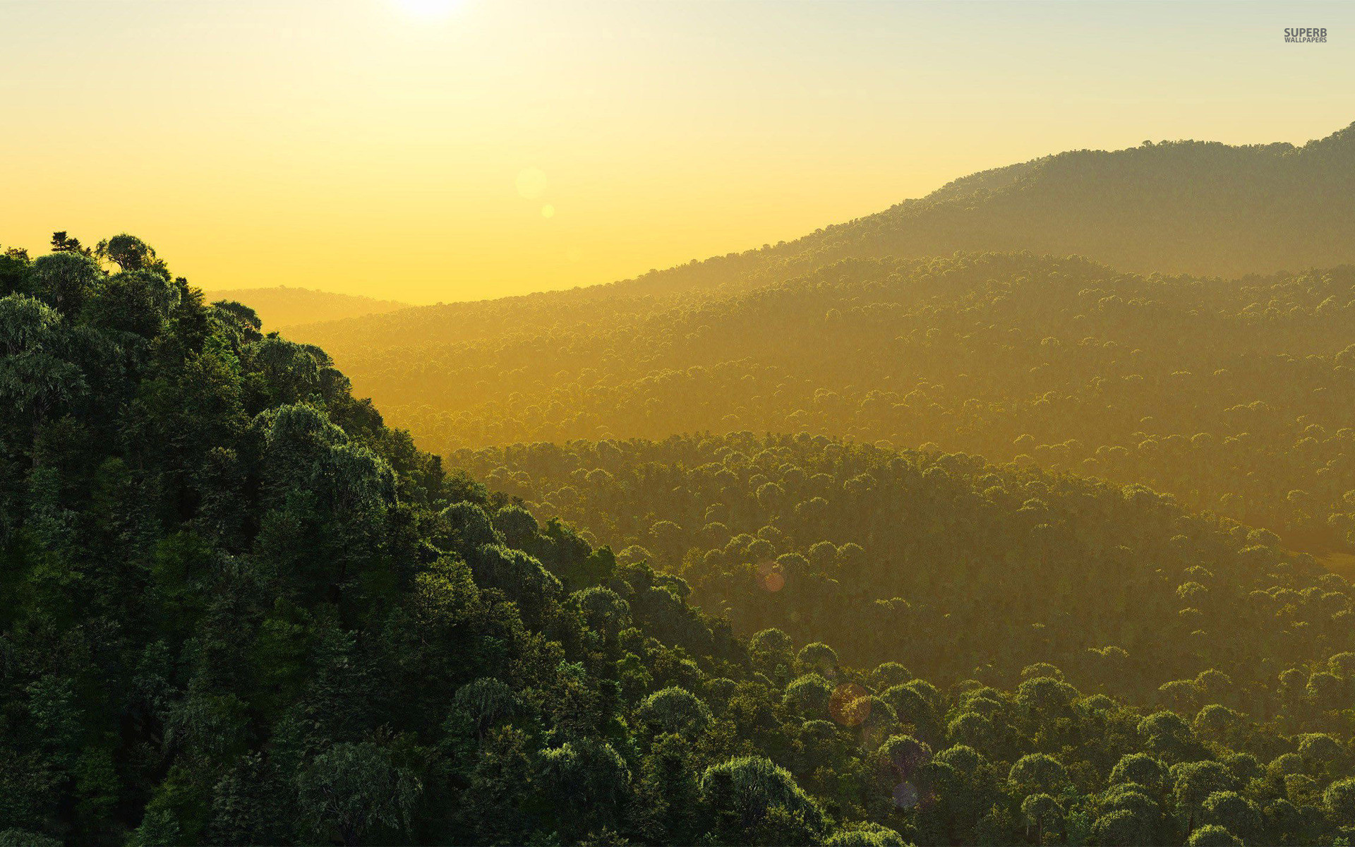 Pretty Green Wallpaper (28+ pictures)