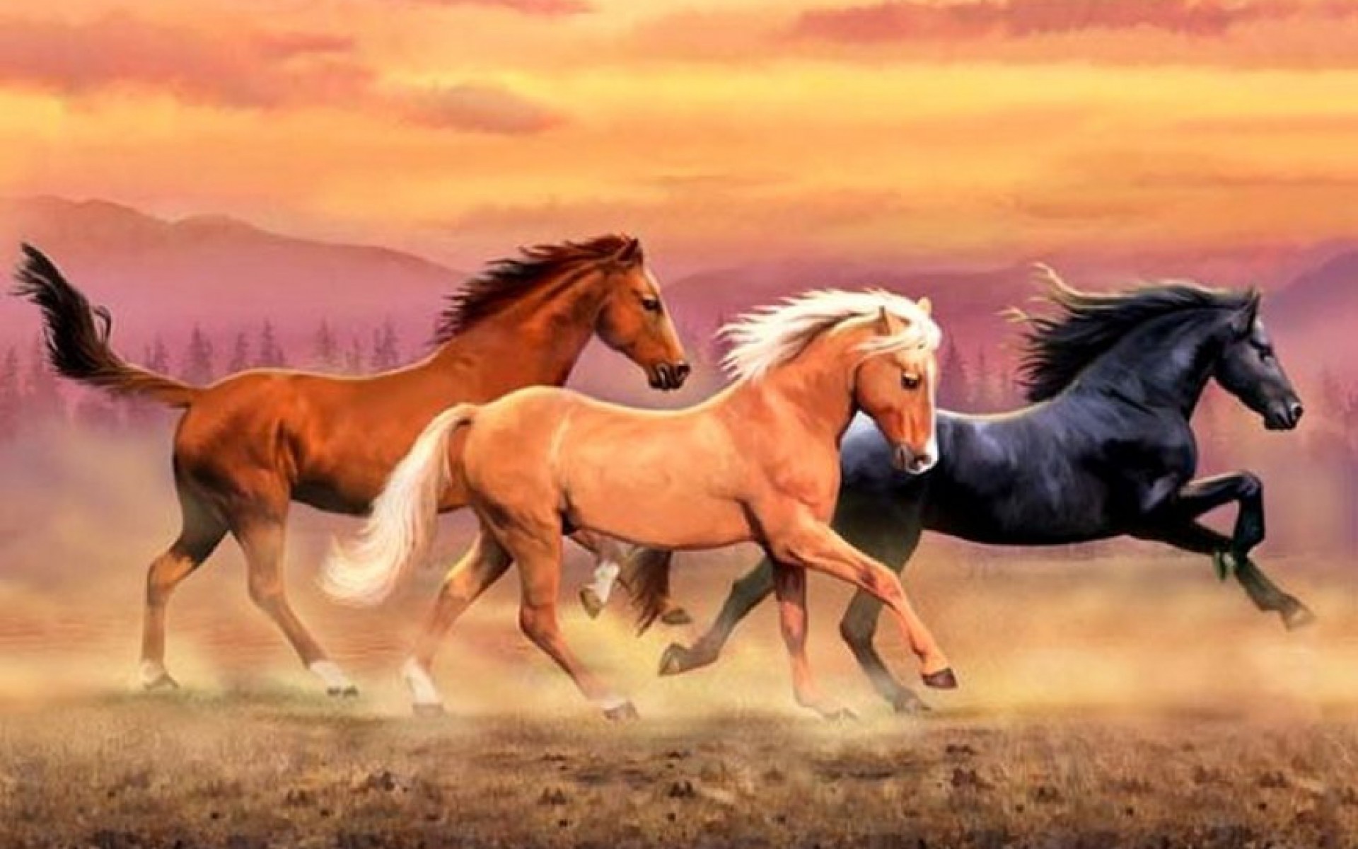 Wild Horses Wallpaper (59+ pictures)
