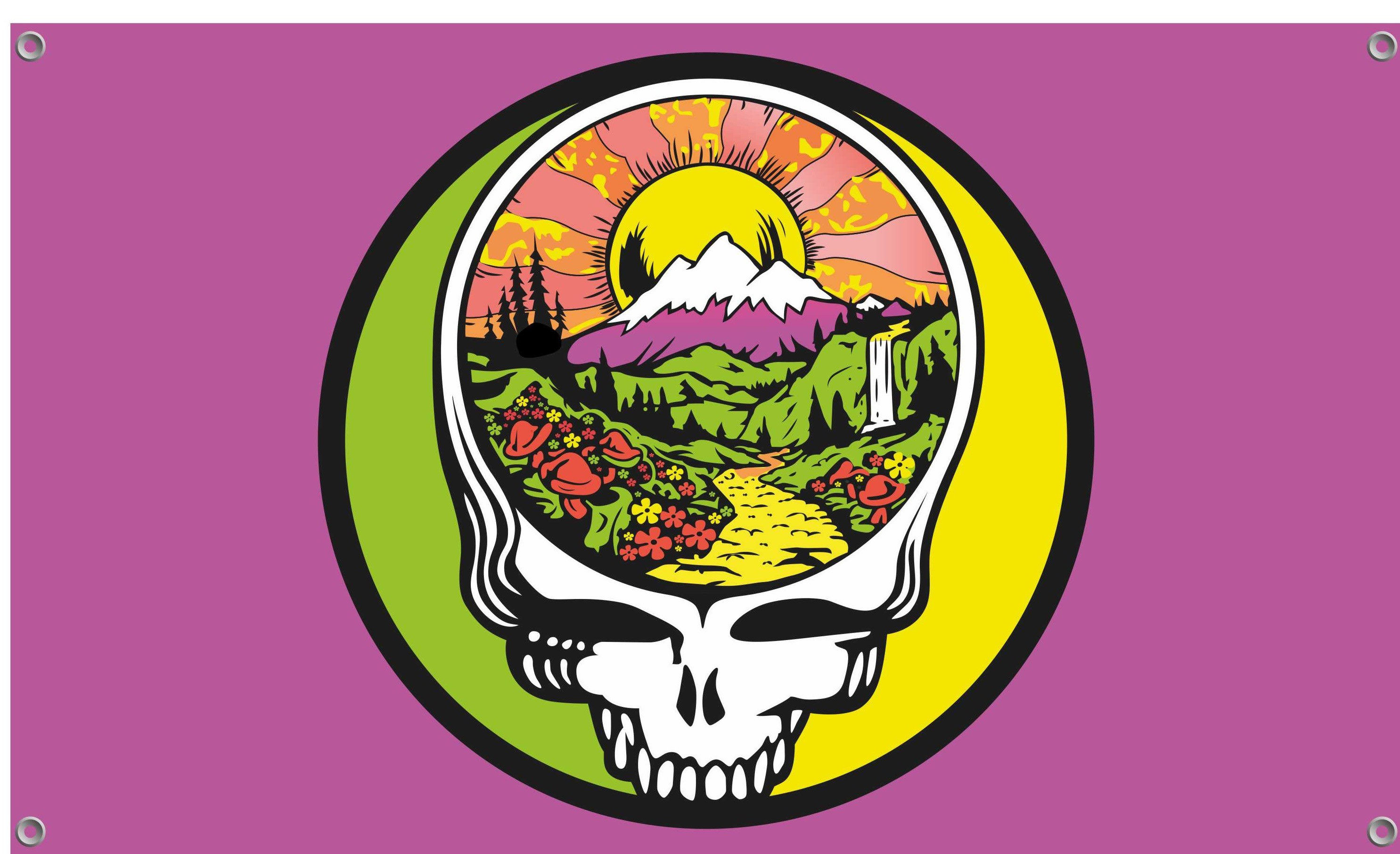 Grateful Dead Background (53+ pictures)