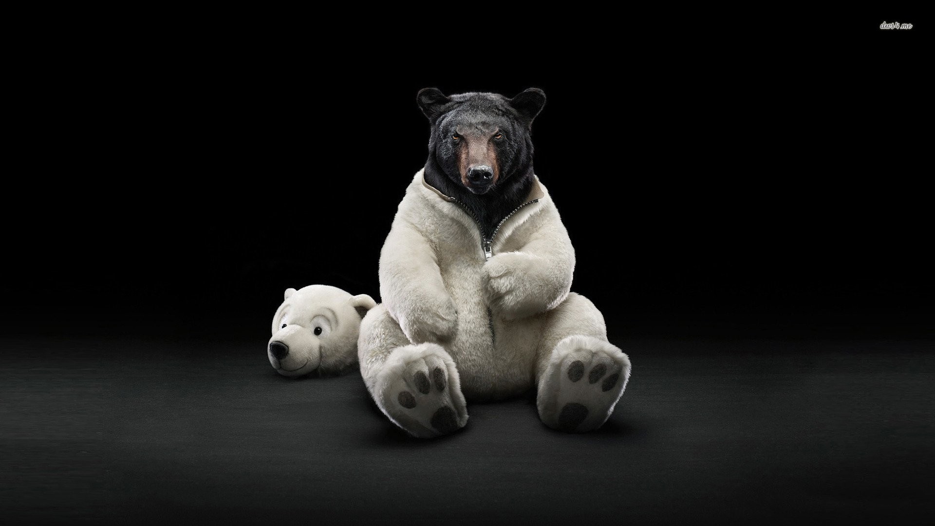 What Is A Polar Bear's Skin Color at Luisa Collins blog