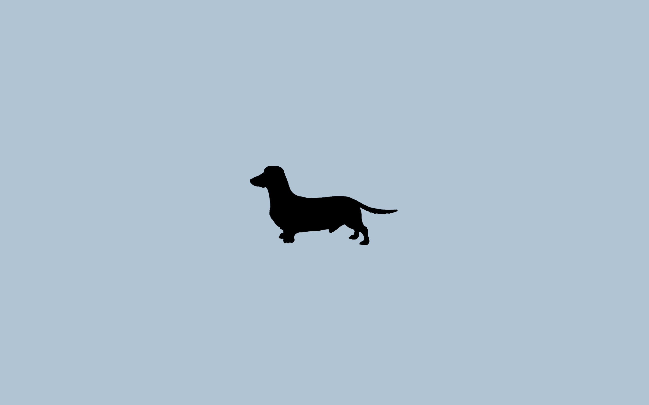 Weiner Dog Wallpaper (60+ pictures)