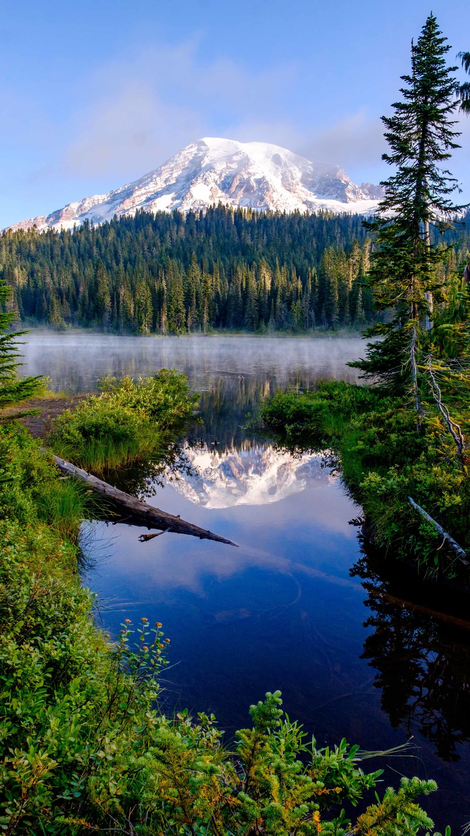 Mt Rainier Wallpaper (66+ pictures)