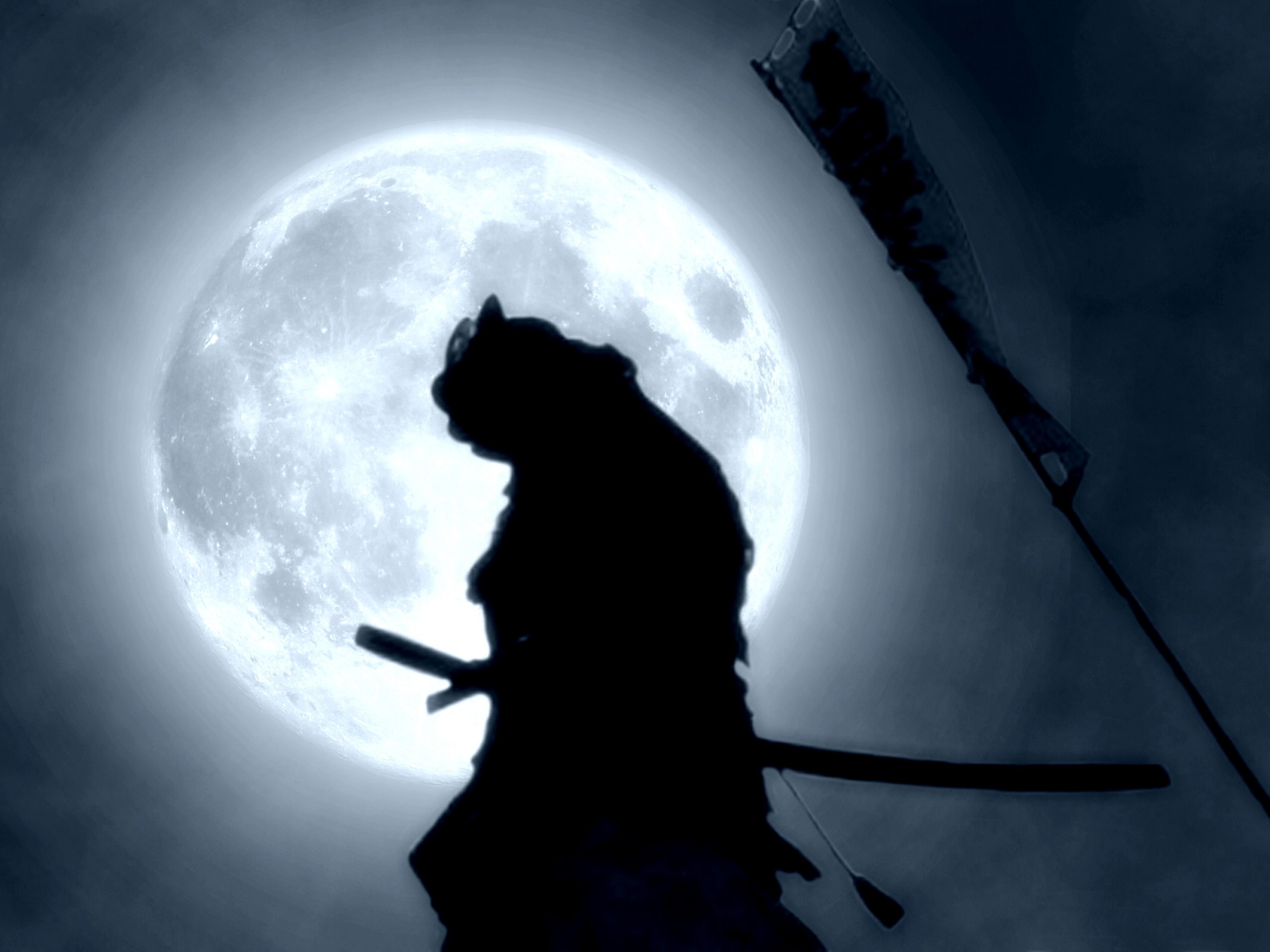 Shadow Fight 2 Wallpapers (81+ pictures)
