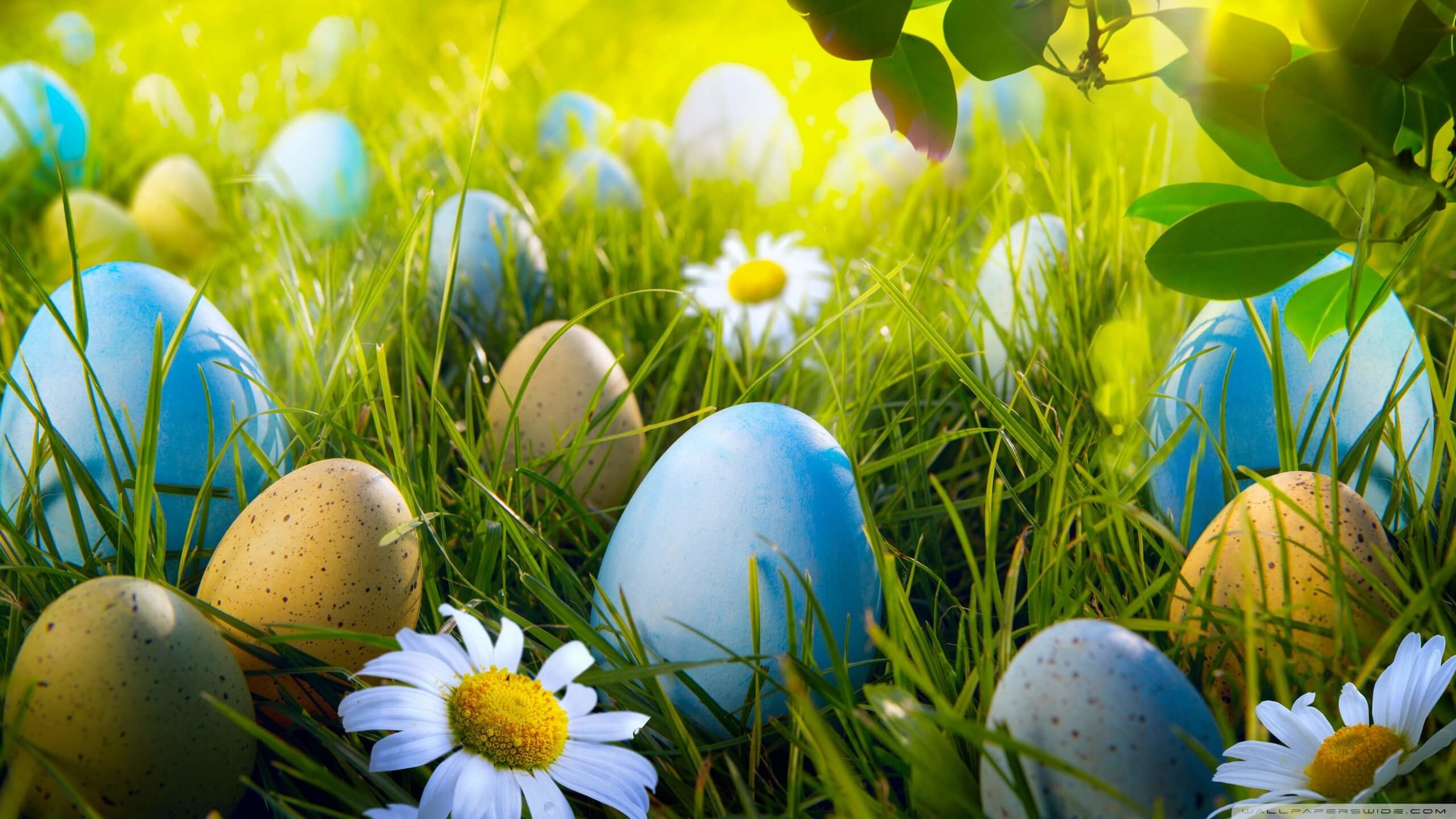 Desktop Wallpaper Easter (80+ pictures)