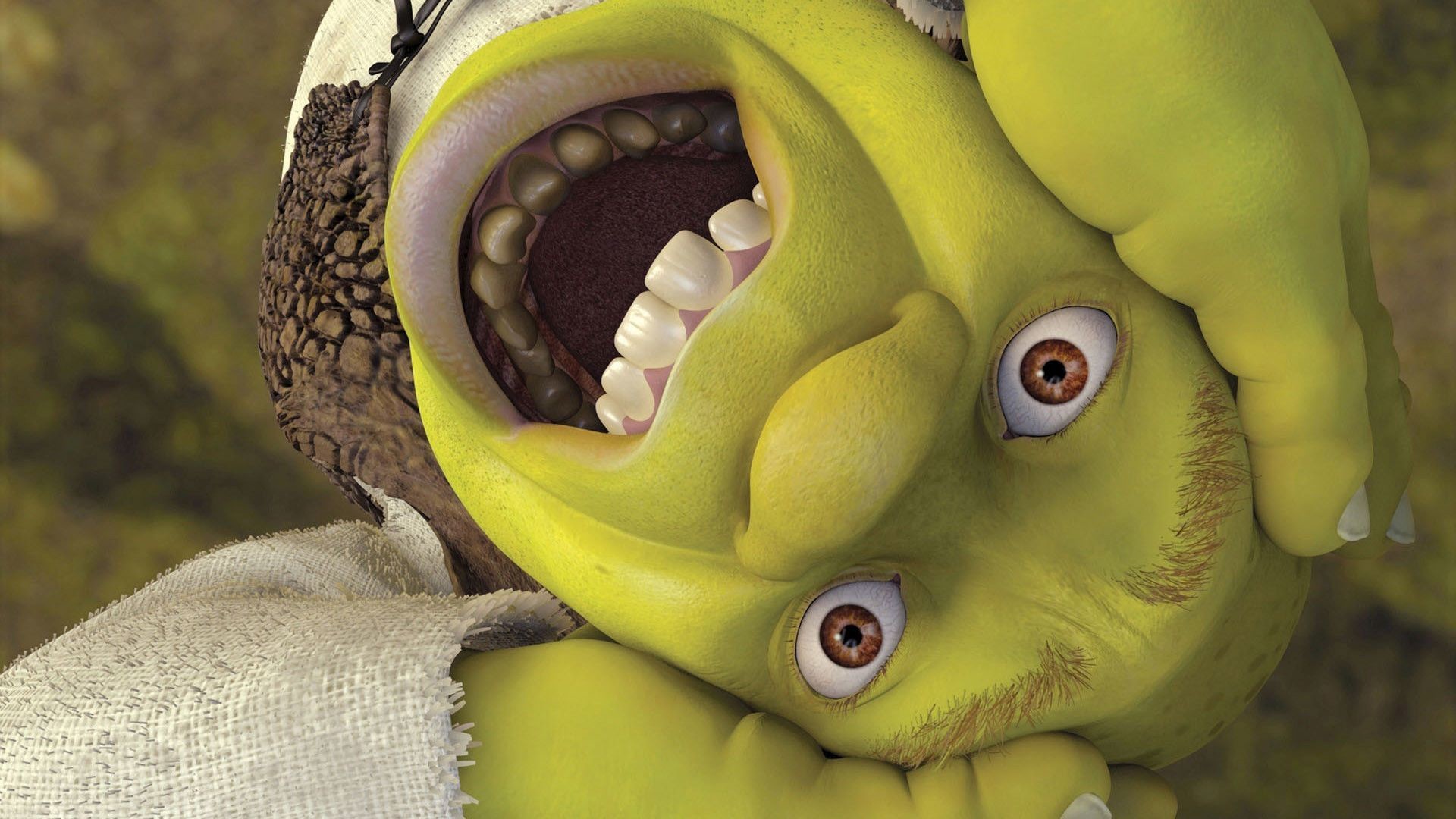 Shrek Wallpaper (70+ pictures)