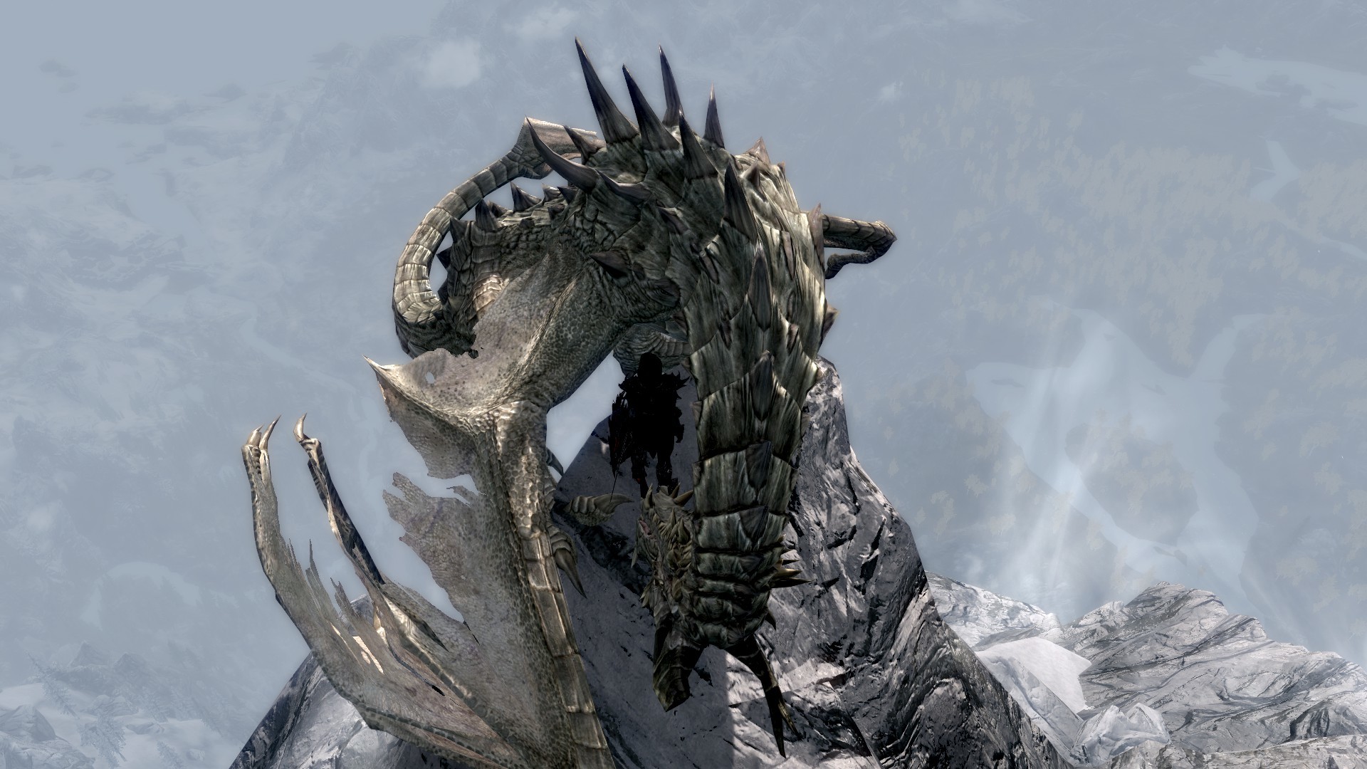 Skyrim Paarthurnax Wallpaper (84+ pictures)