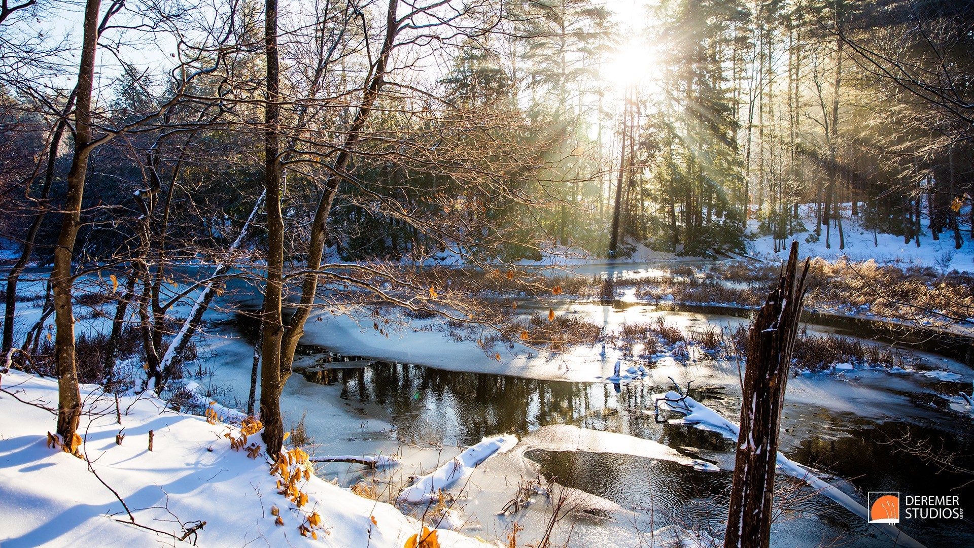New England Wallpaper (52+ pictures)