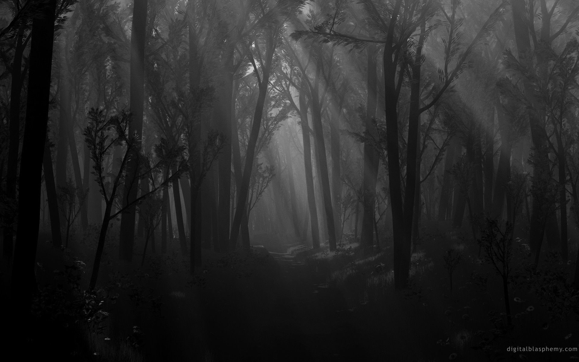 Dark Forest Wallpaper 1920x1080