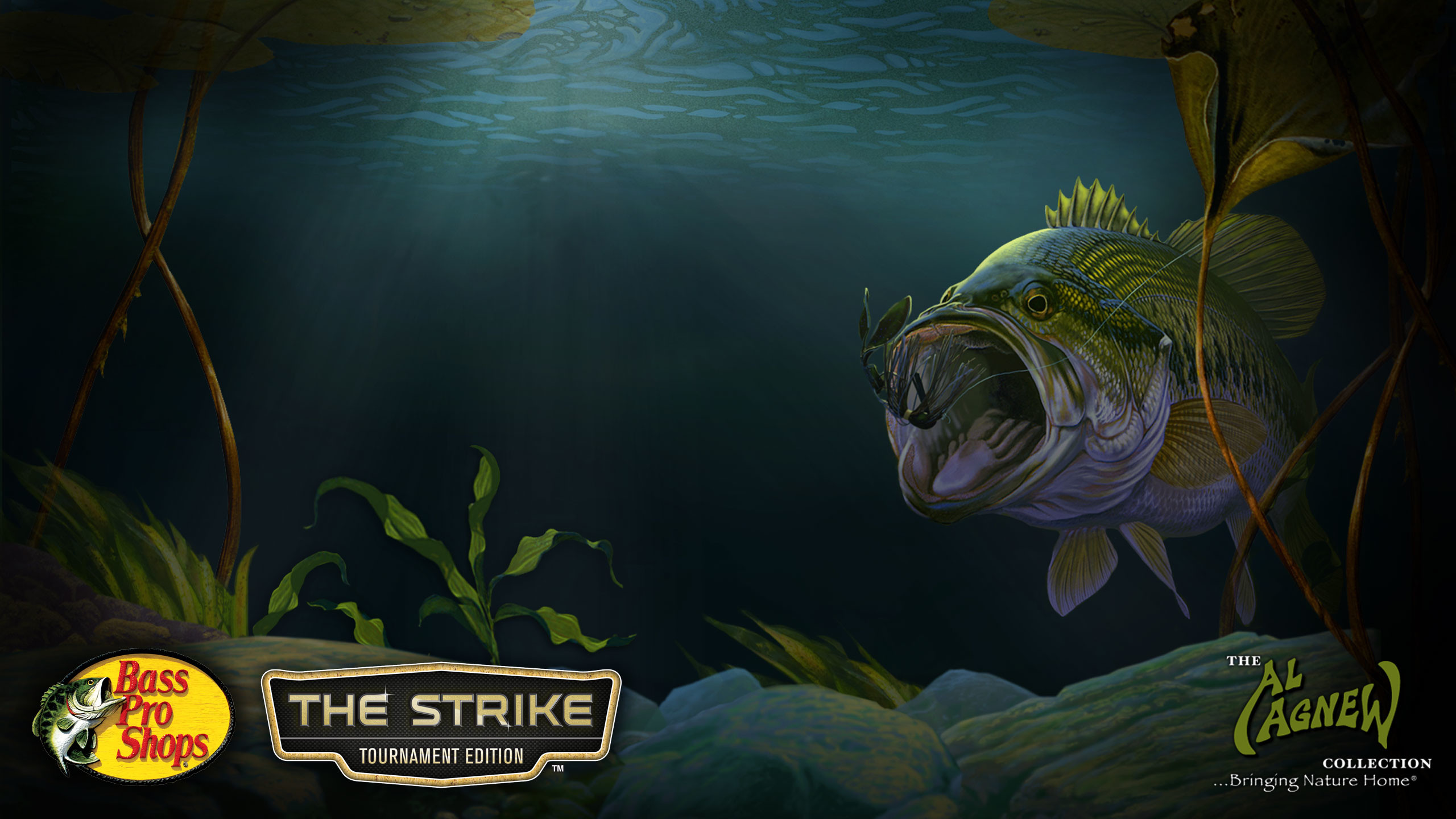 Bass Pro Shop Backgrounds (66+ pictures)