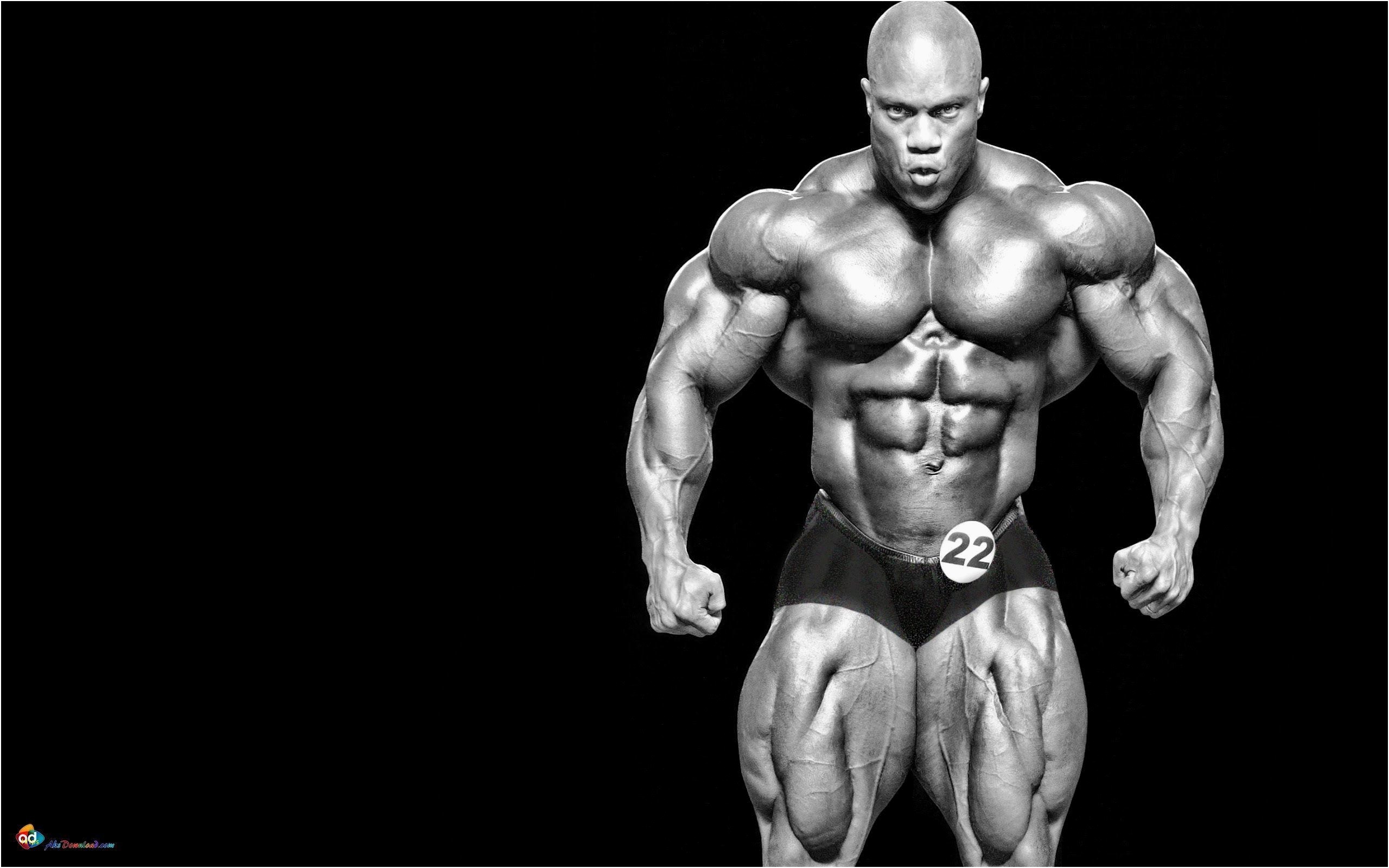 Bodybuilding Wallpaper (76+ pictures)