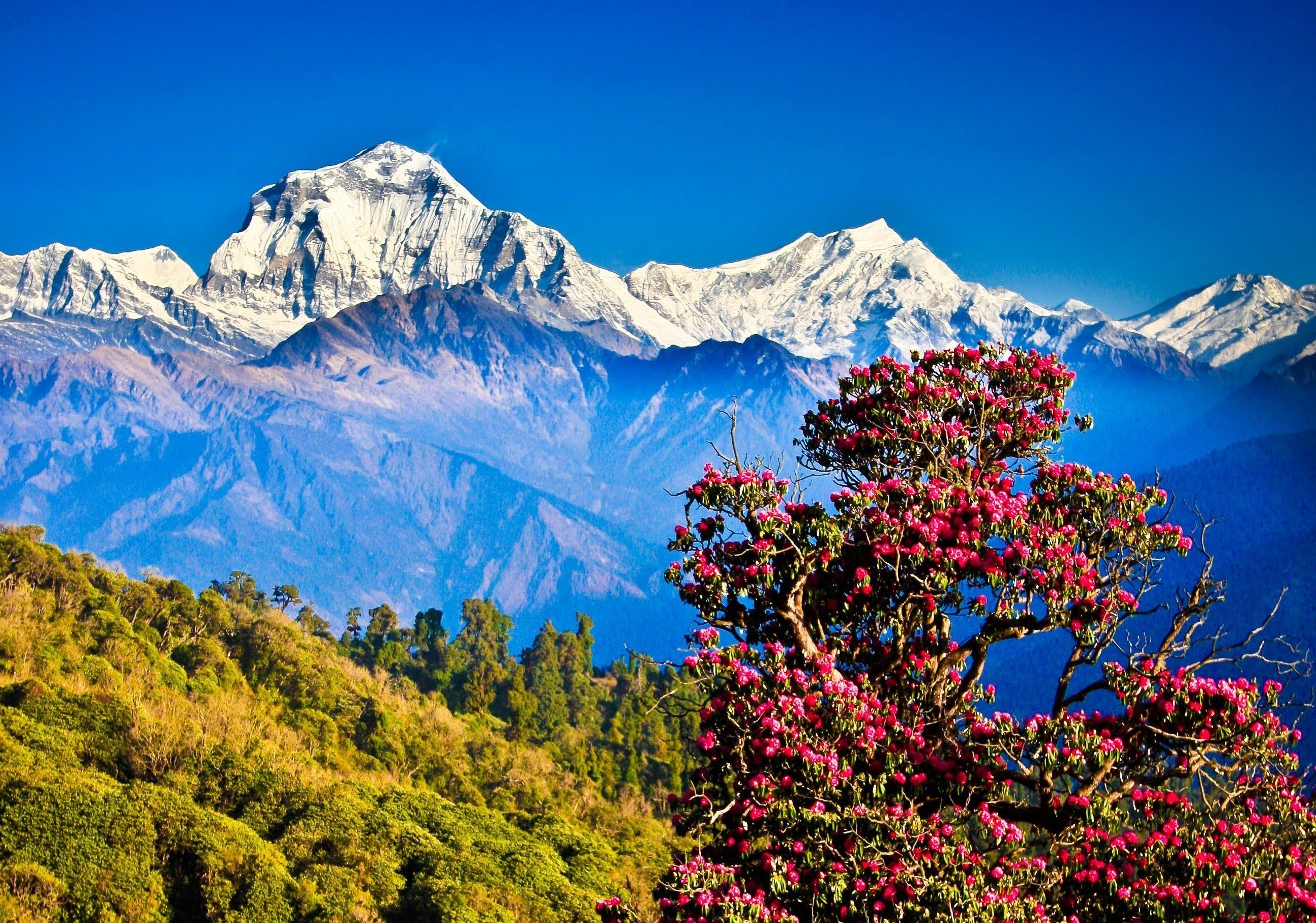 Wallpapers of Himalayas (62+ pictures)