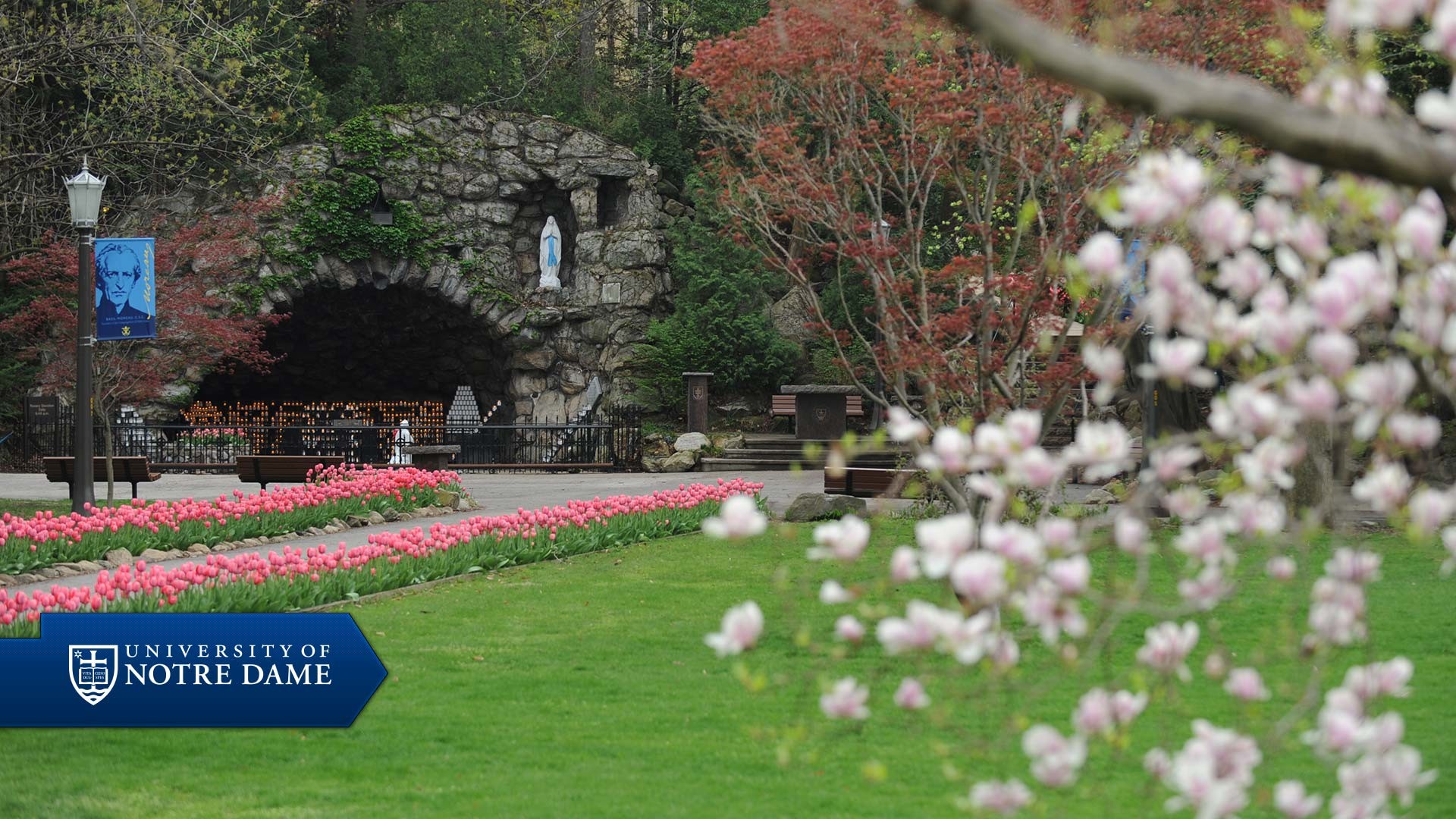 Notre Dame Backgrounds (75+ pictures)