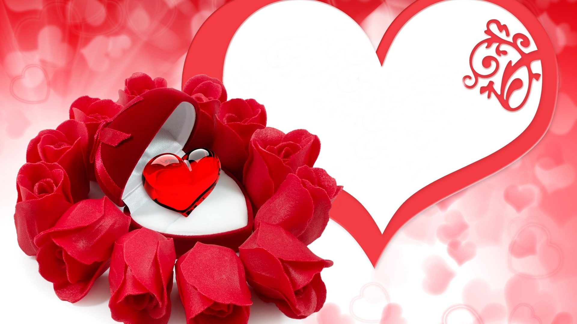 Wallpaper Flower Rose Love (42+ pictures)