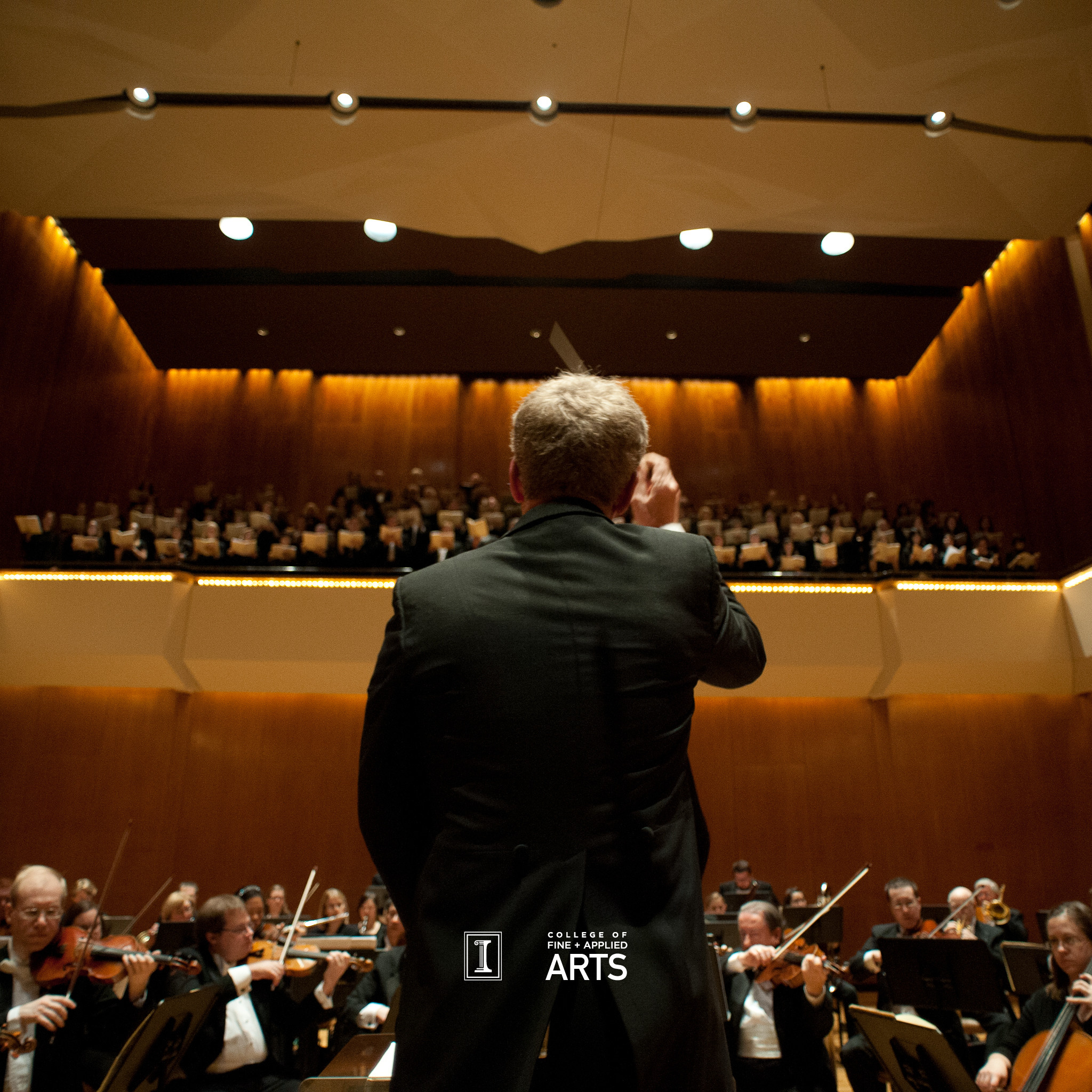 Zoom Orchestra Virtual Background