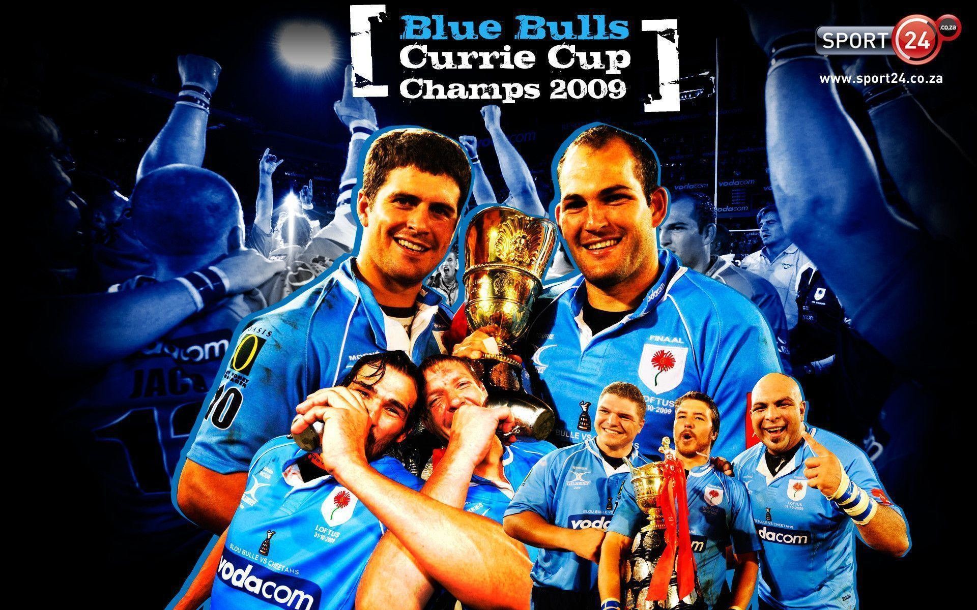 Blue Bulls Wallpapers (55+ pictures)